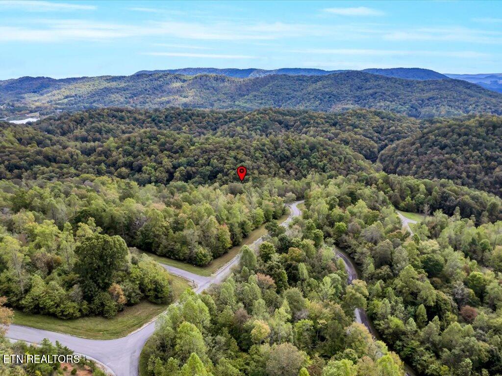 Lot 410 Mystic Star Drive New Tazewell TN 37825