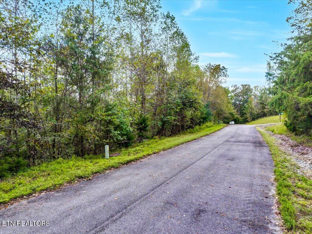 Lot 410 Mystic Star Drive New Tazewell TN 37825