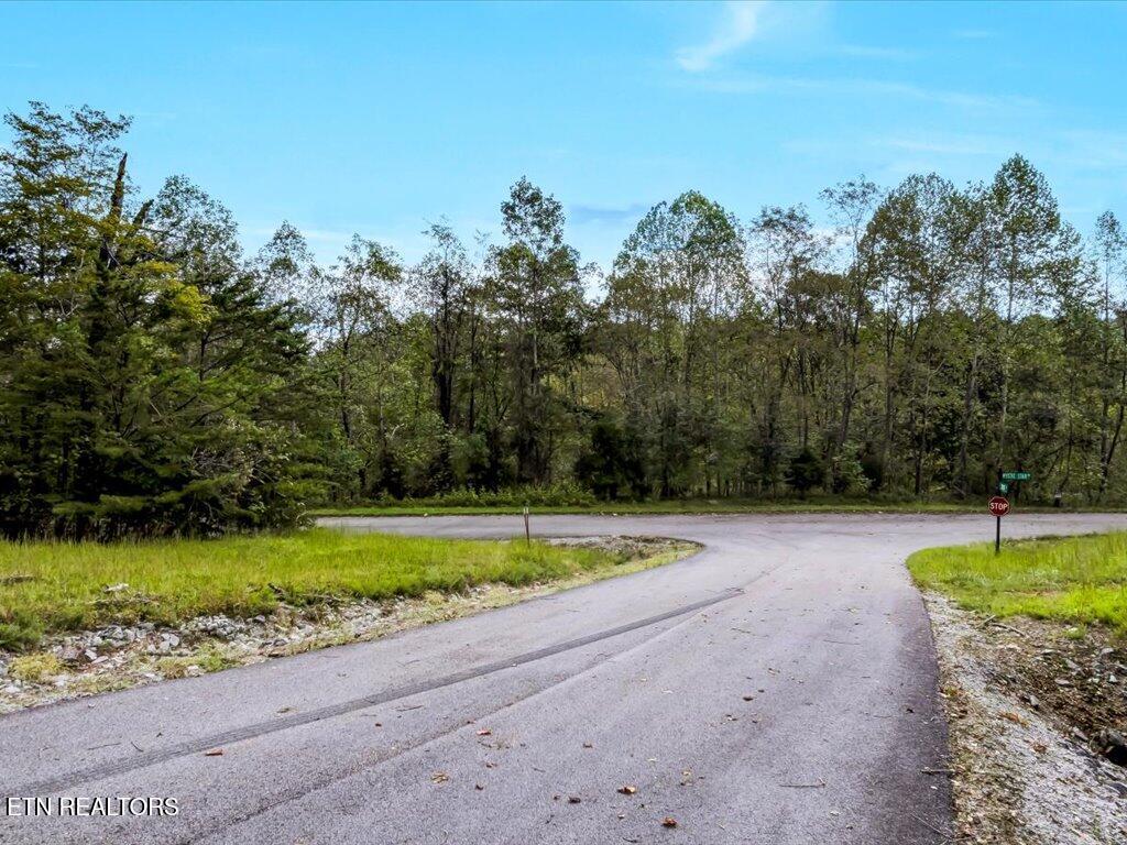 Lot 410 Mystic Star Drive New Tazewell TN 37825