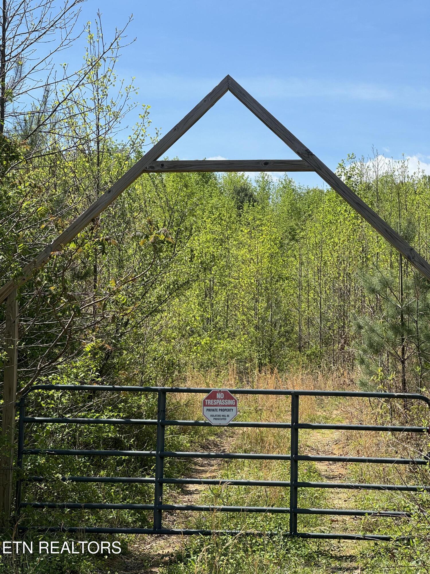 Coon Hollow Road Sunbright TN 37872