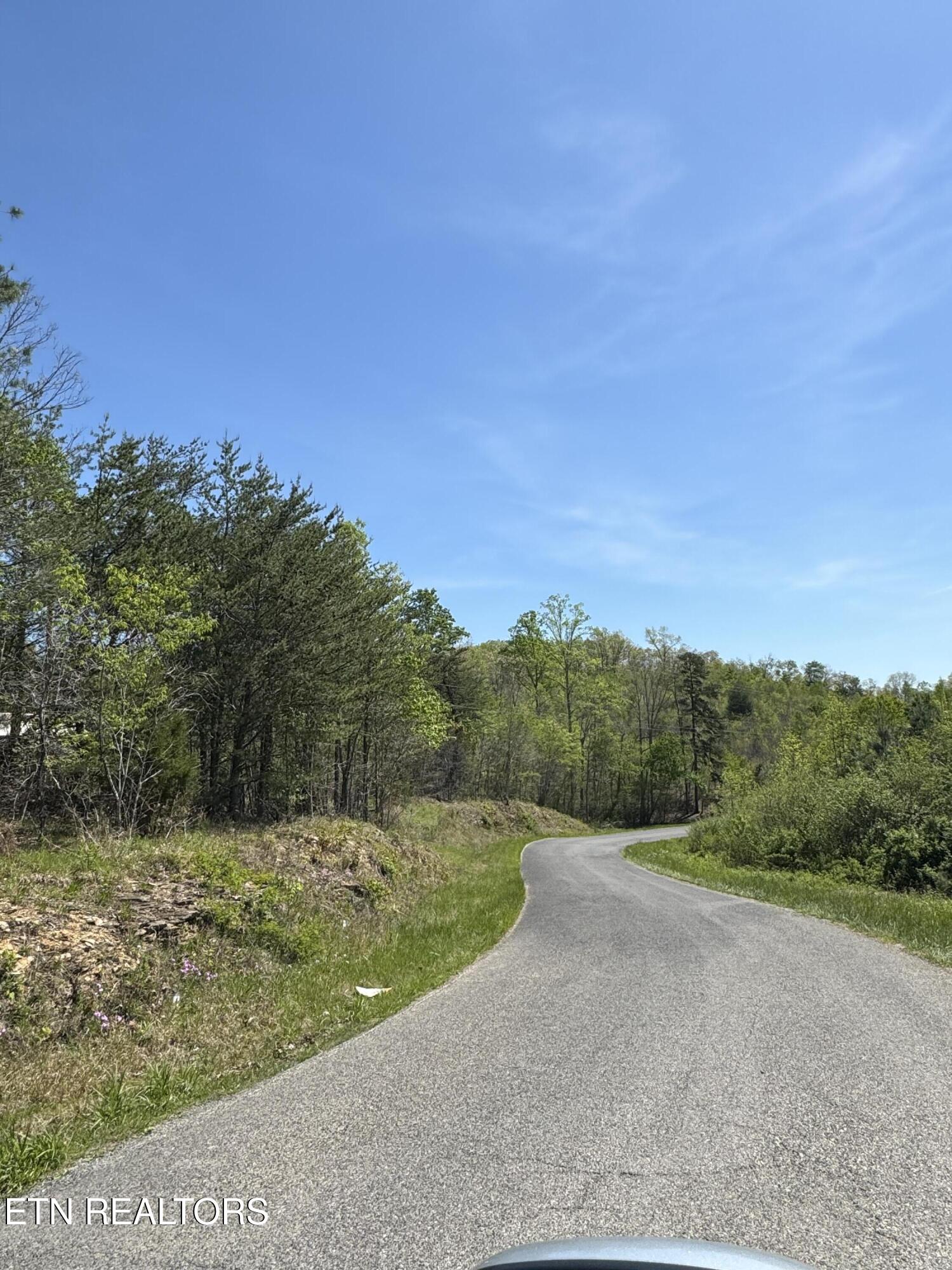 Coon Hollow Road Sunbright TN 37872