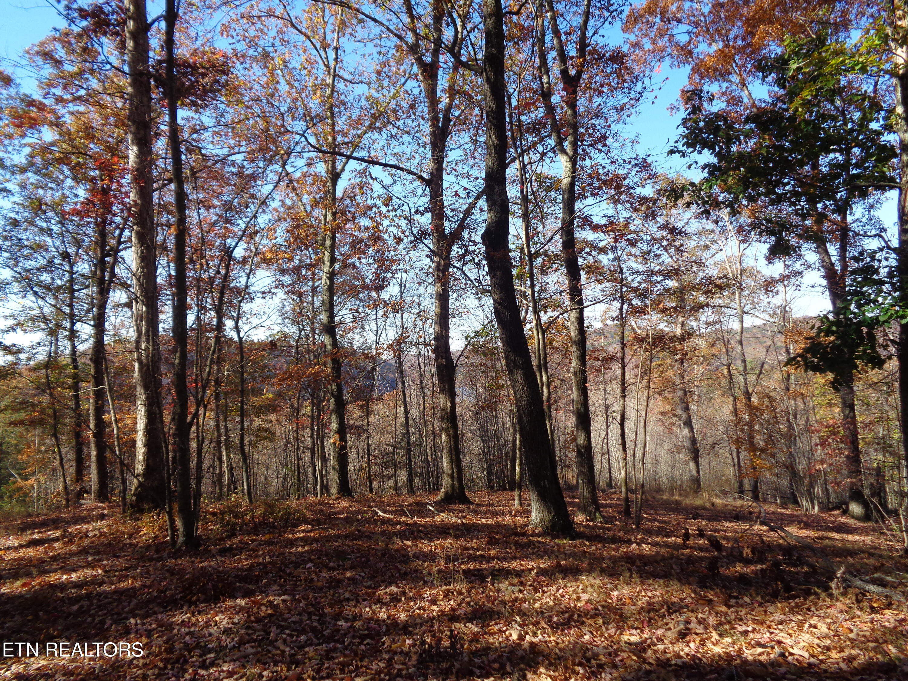 Twin Feathers Drive Rockwood TN 37854