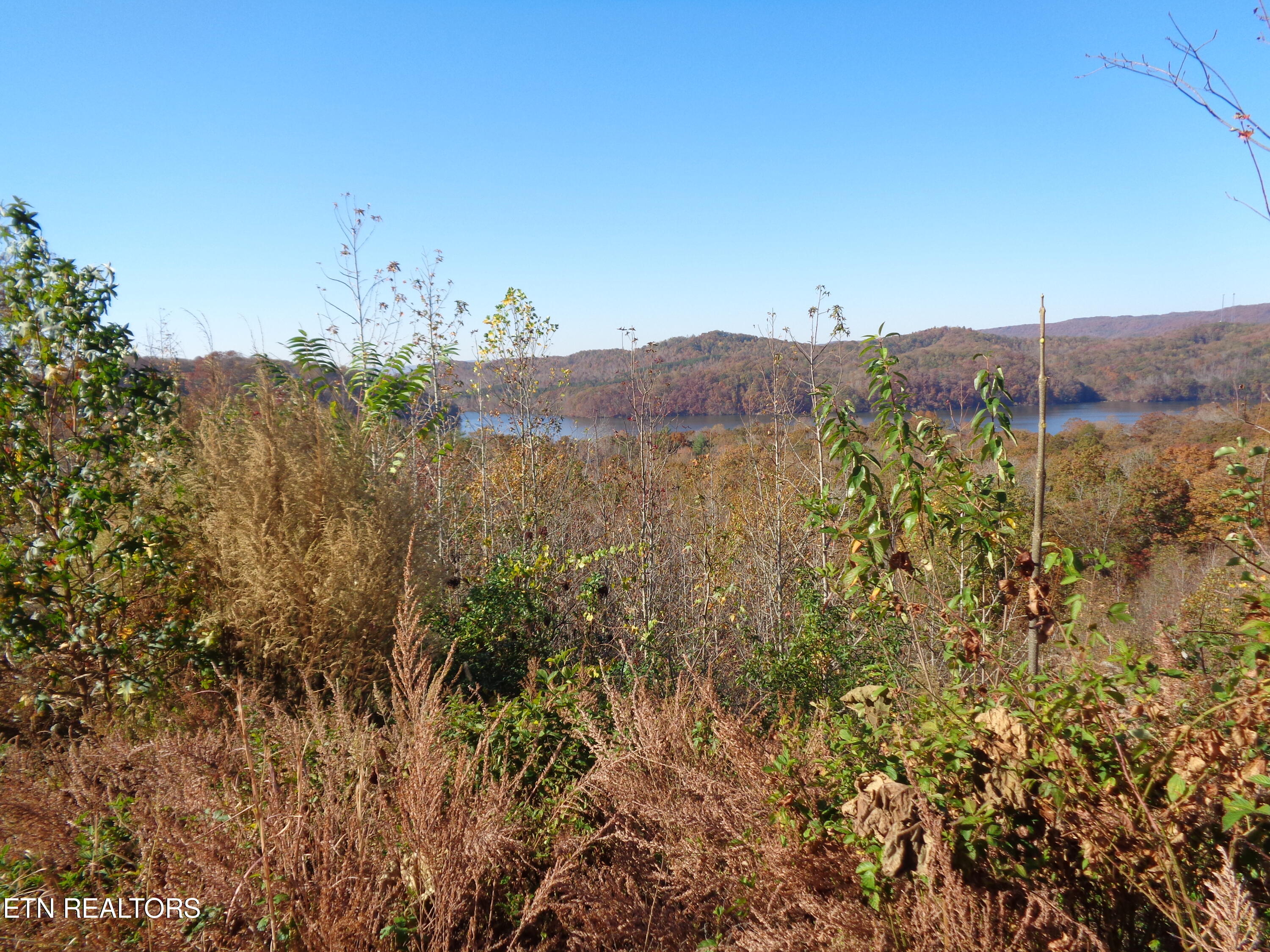 Twin Feathers Drive Rockwood TN 37854