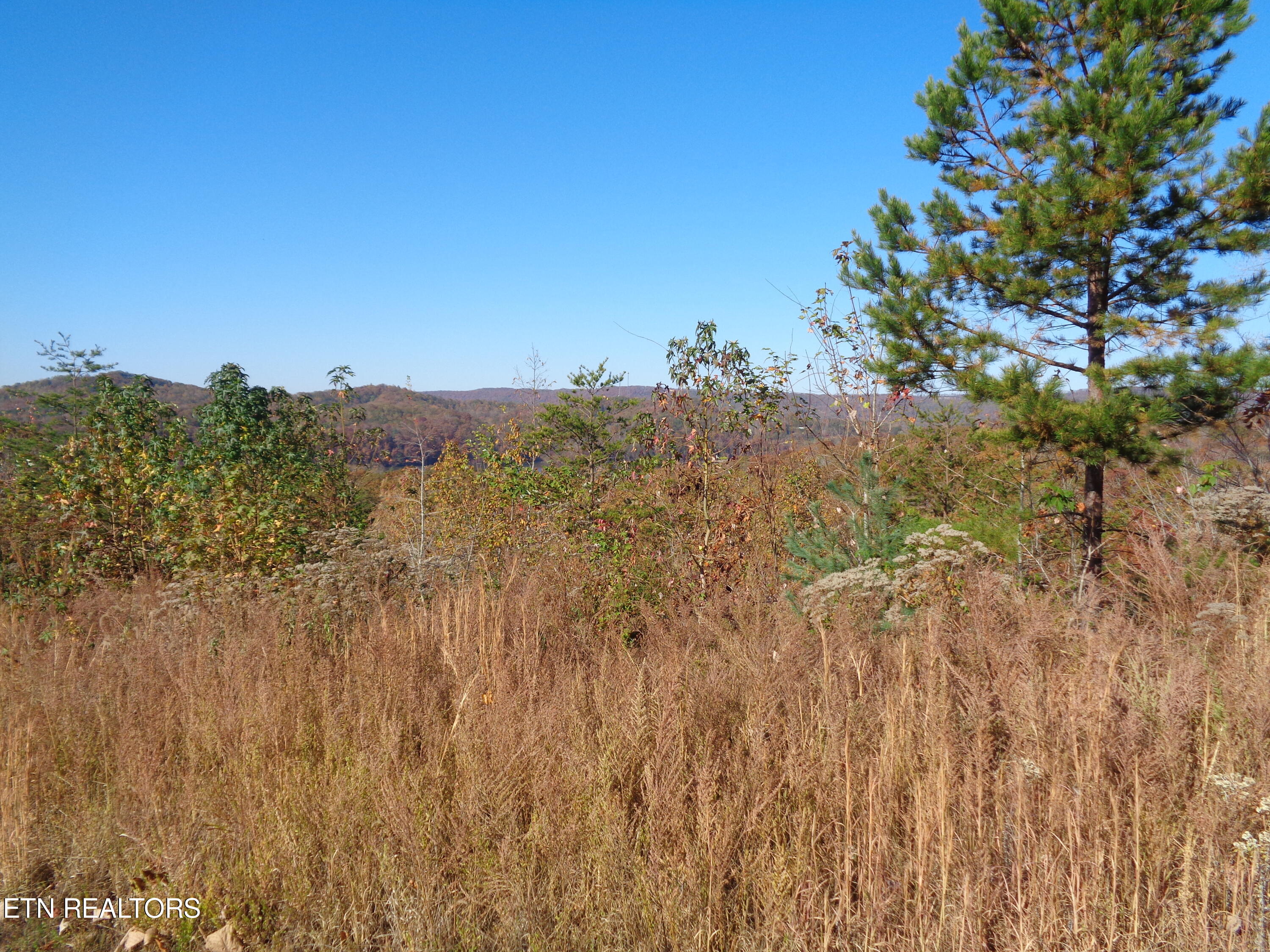 Twin Feathers Drive Rockwood TN 37854