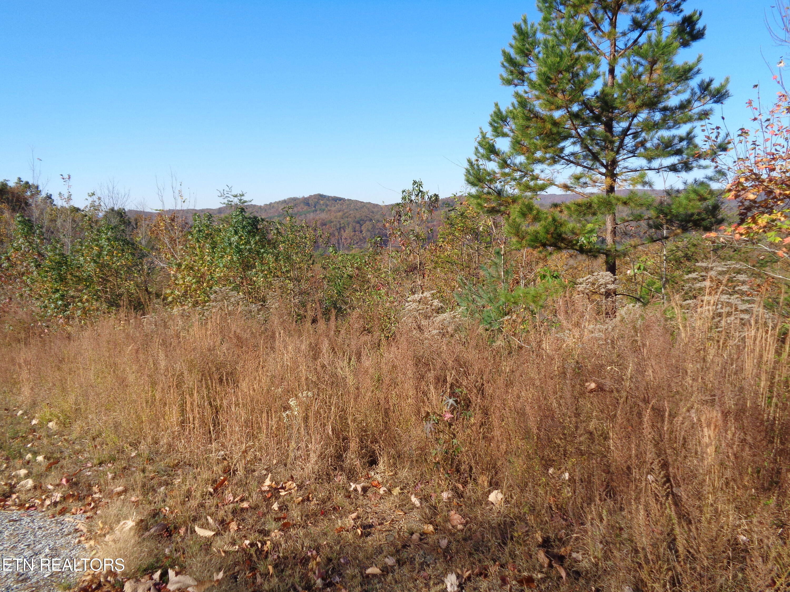 Twin Feathers Drive Rockwood TN 37854