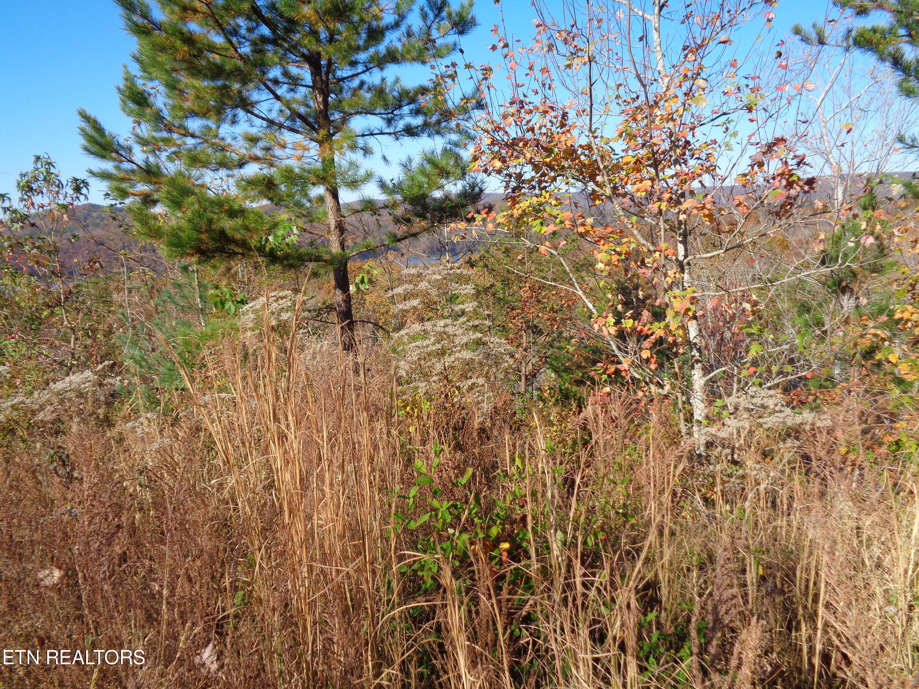 Twin Feathers Drive Rockwood TN 37854