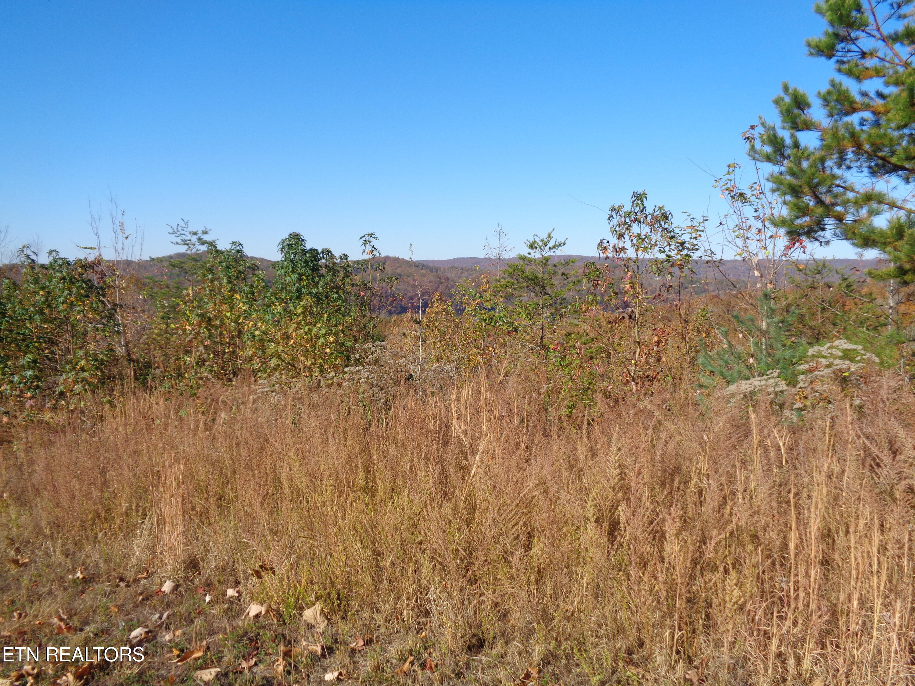 Twin Feathers Drive Rockwood TN 37854