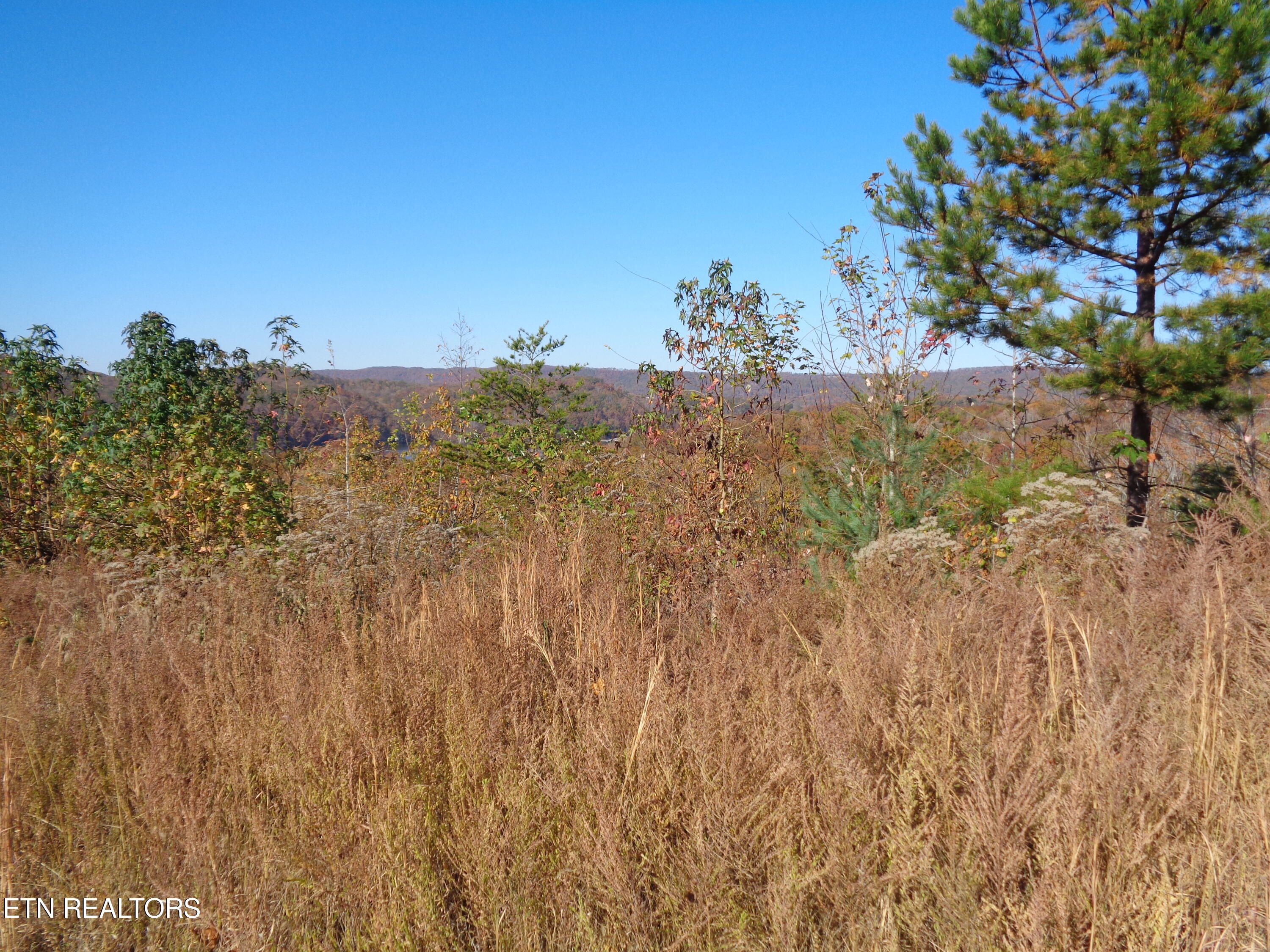 Twin Feathers Drive Rockwood TN 37854