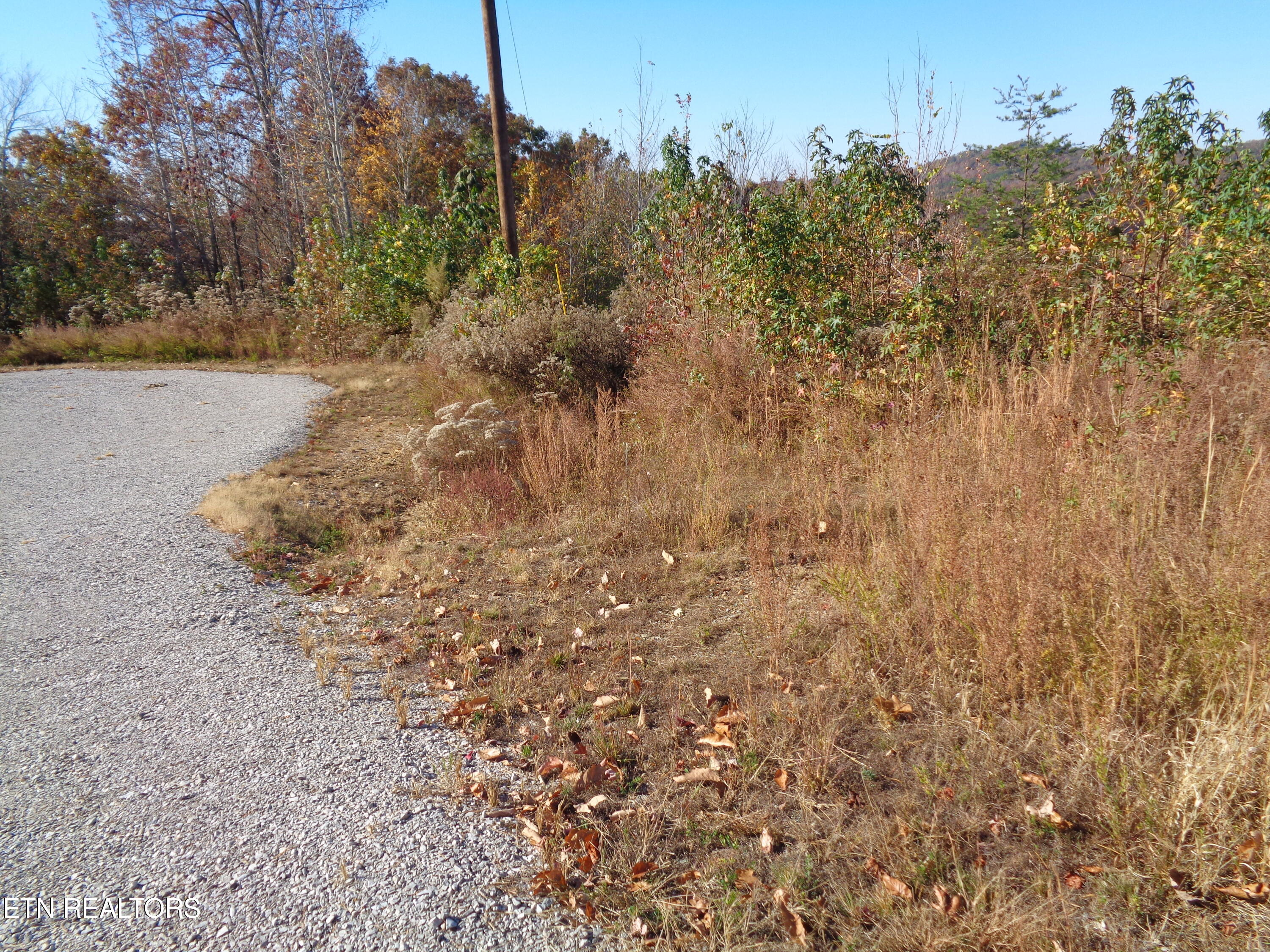 Twin Feathers Drive Rockwood TN 37854