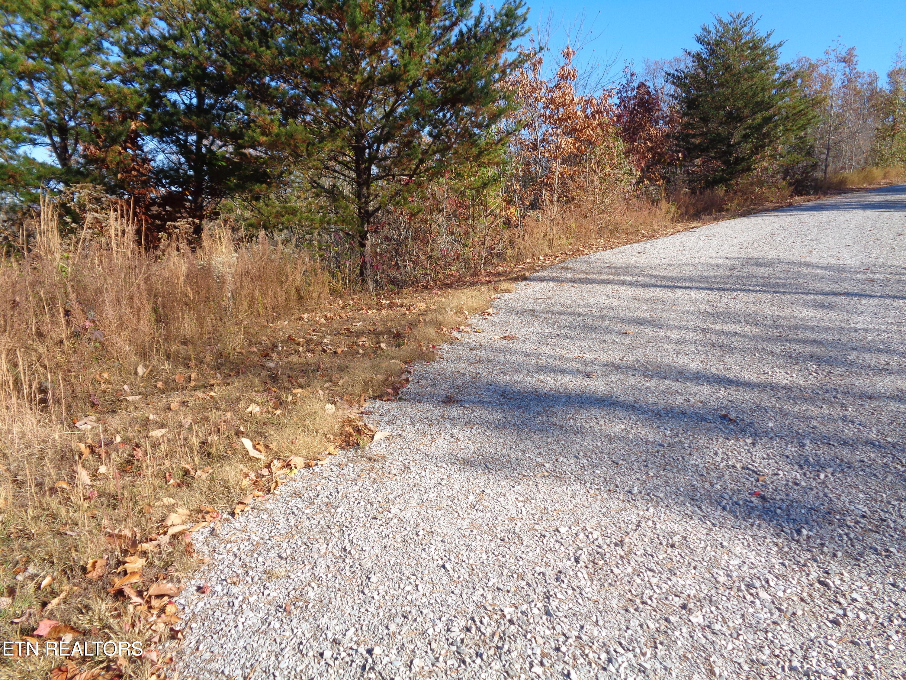 Twin Feathers Drive Rockwood TN 37854