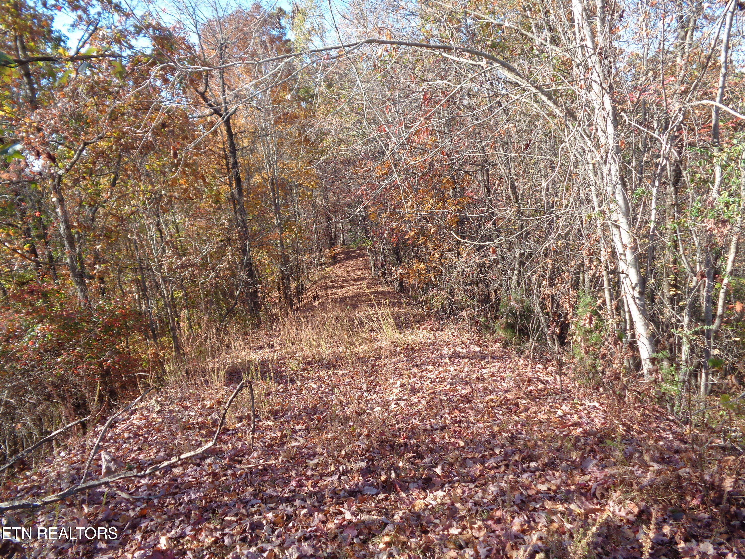 Twin Feathers Drive Rockwood TN 37854