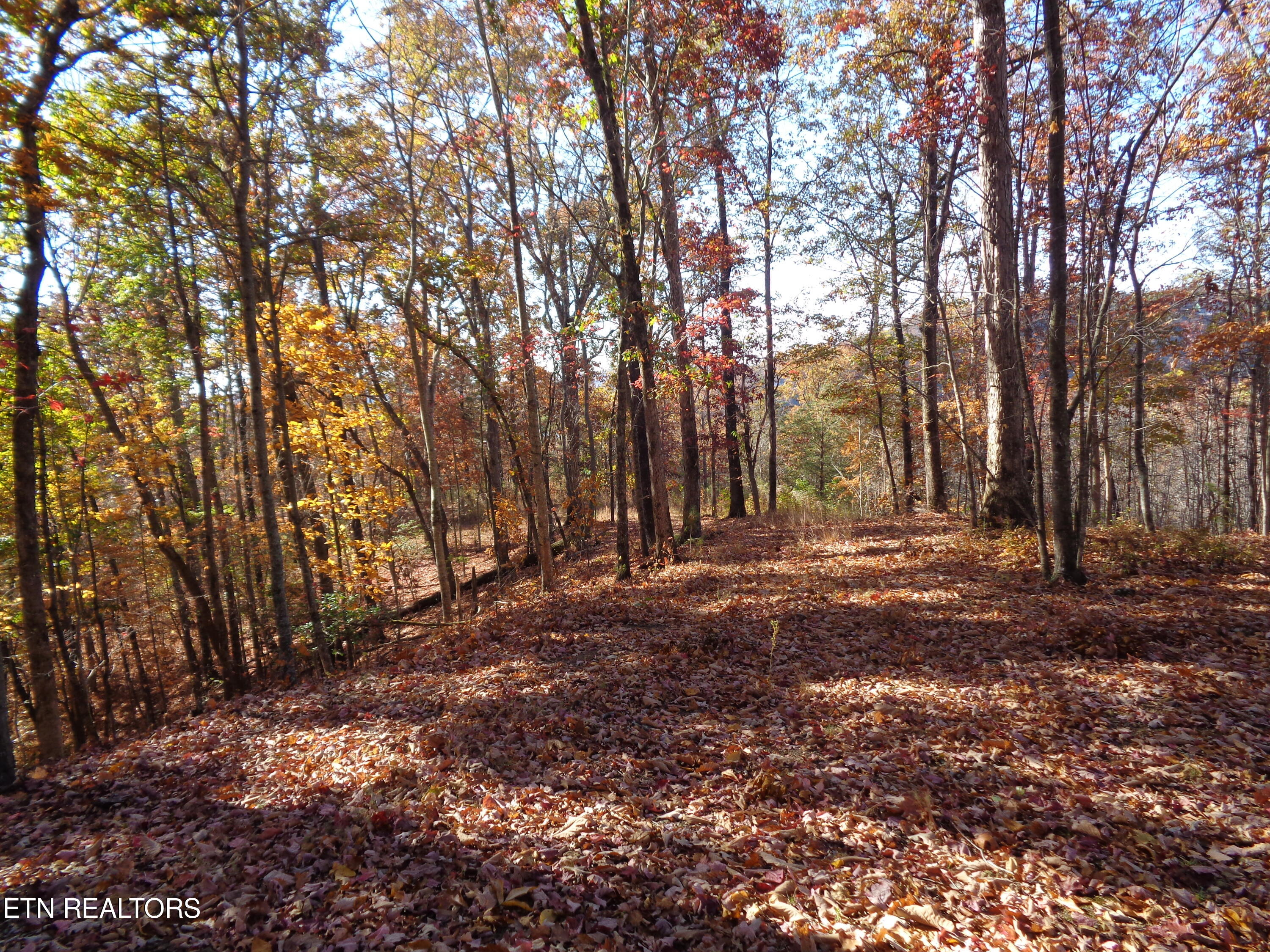 Twin Feathers Drive Rockwood TN 37854