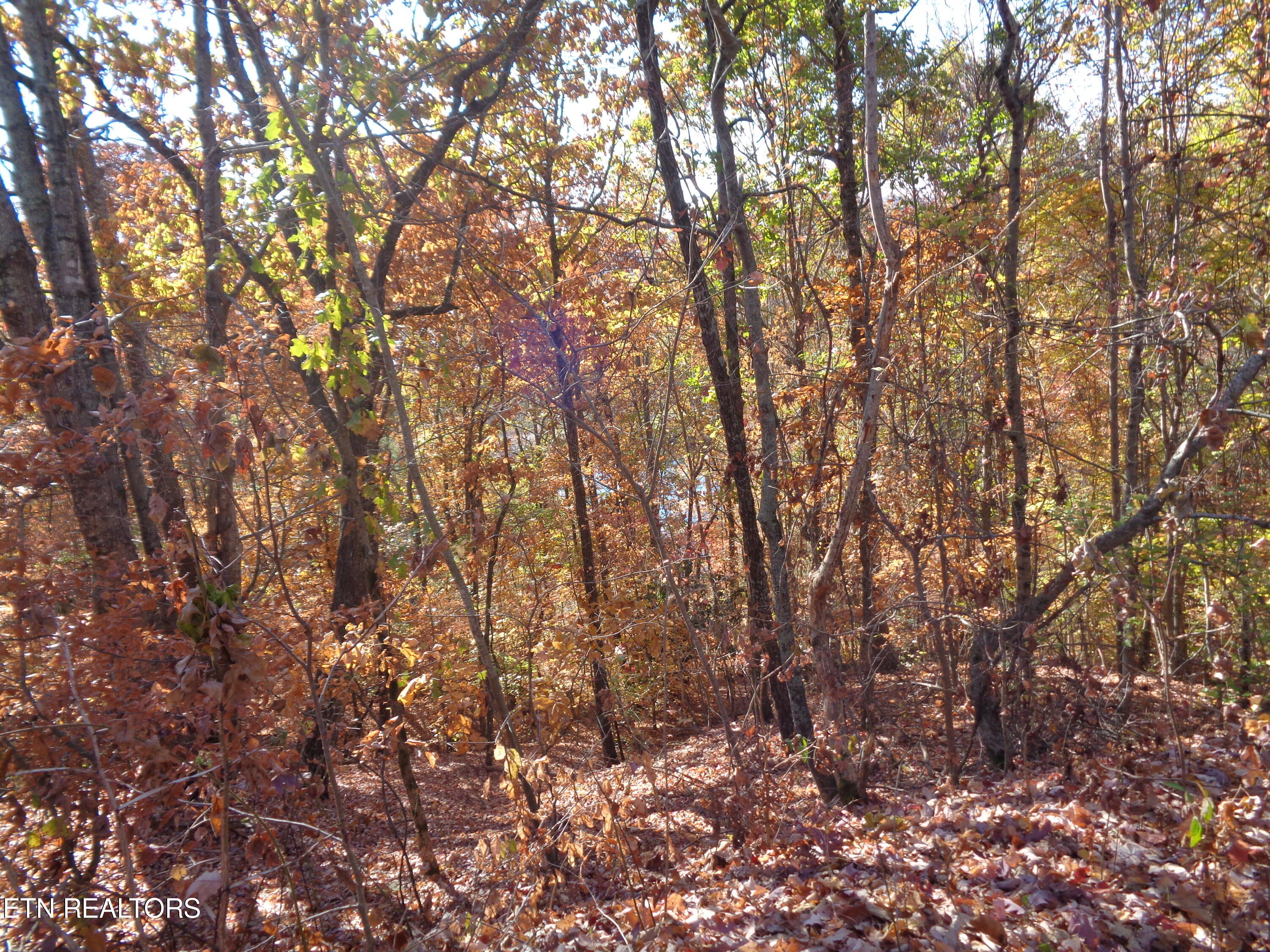 Twin Feathers Drive Rockwood TN 37854