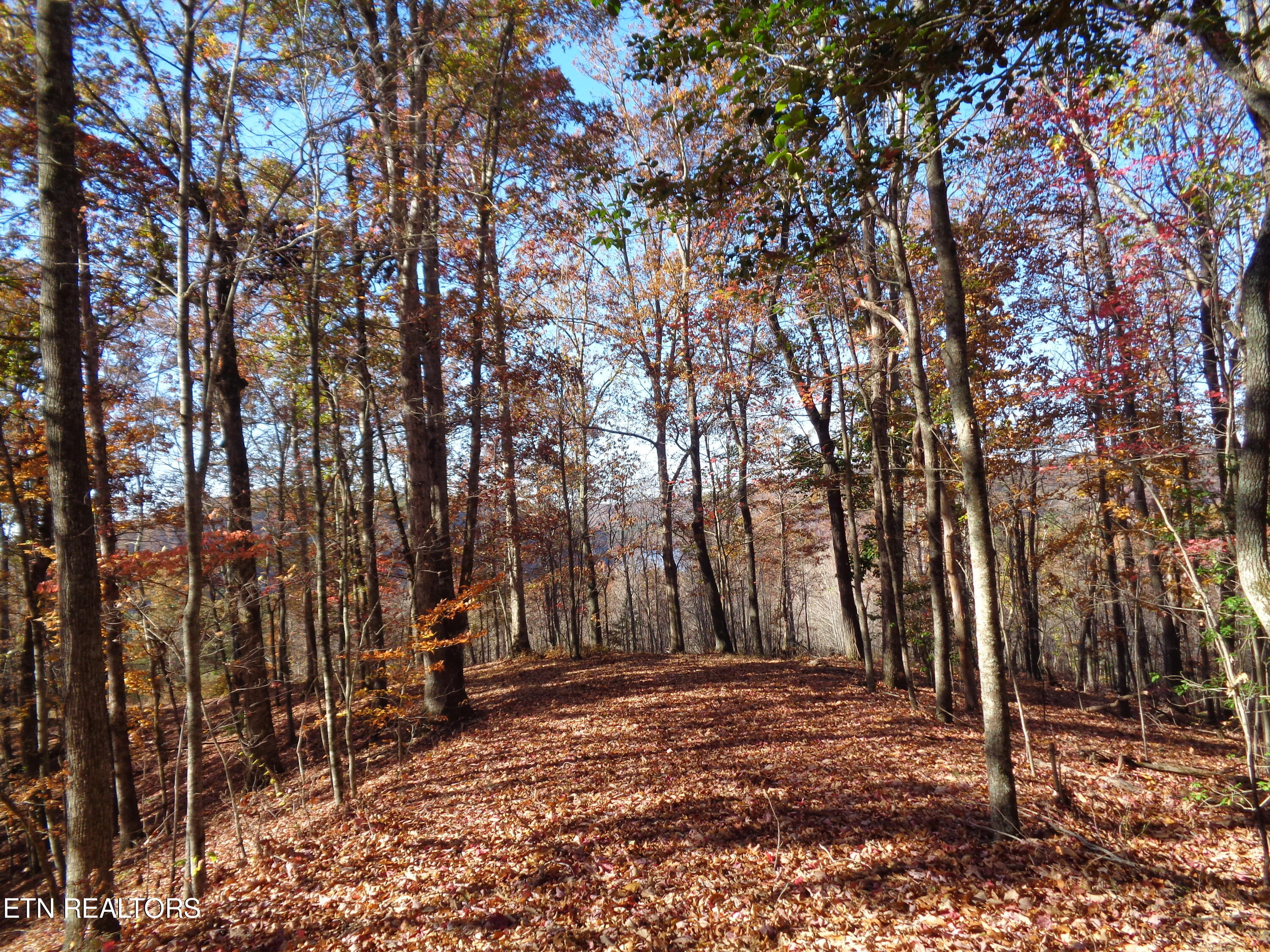 Twin Feathers Drive Rockwood TN 37854