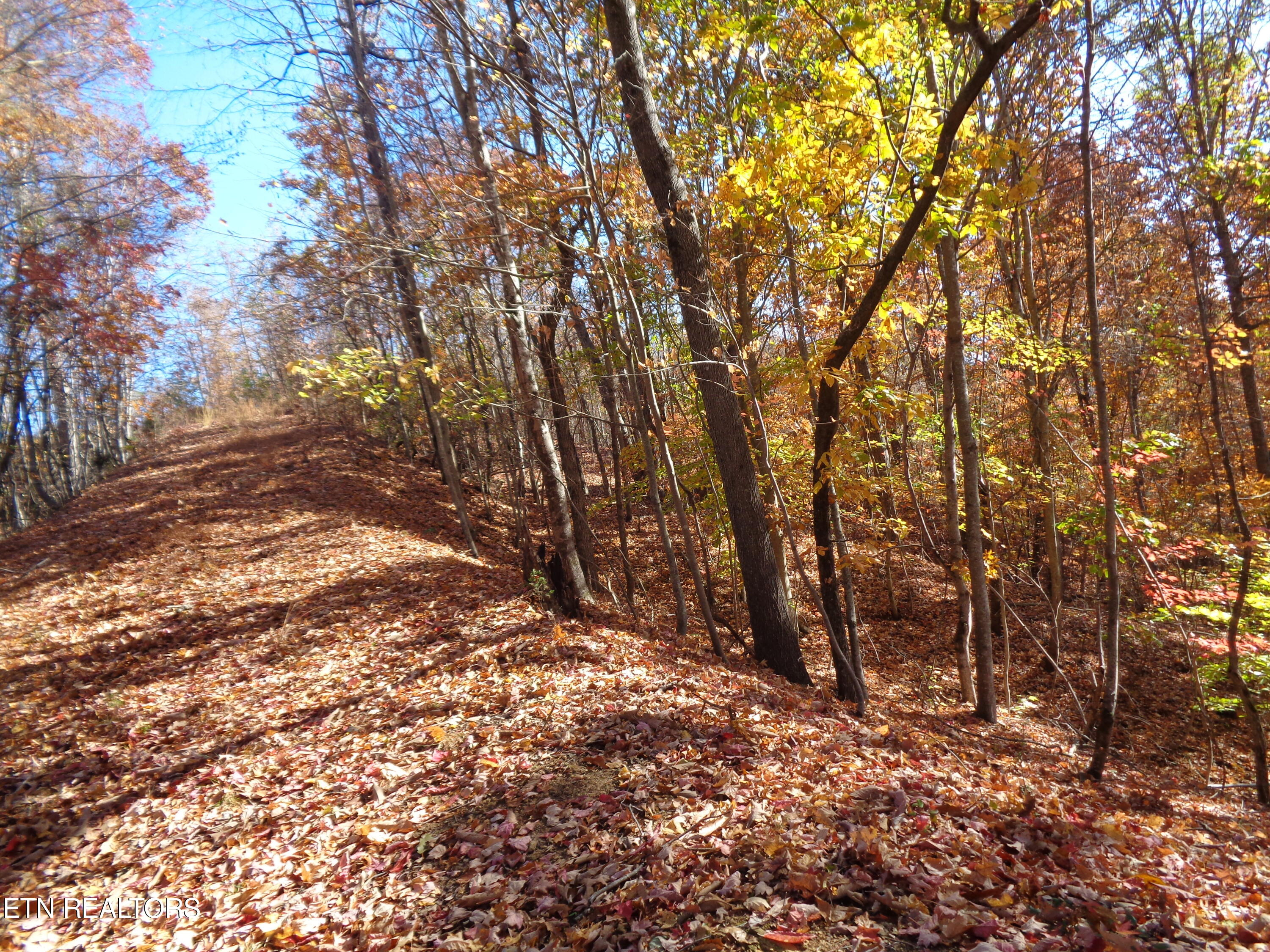 Twin Feathers Drive Rockwood TN 37854