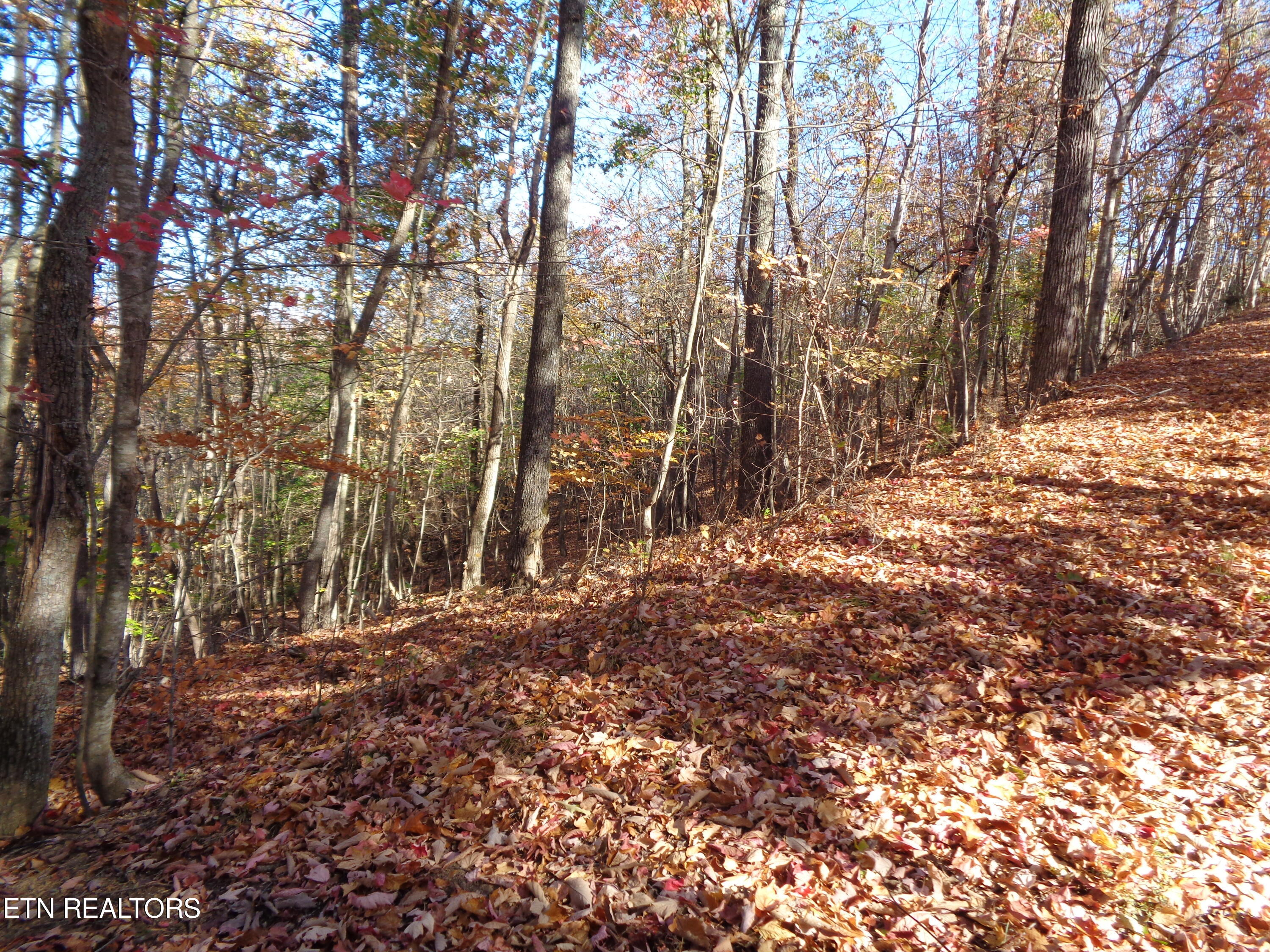 Twin Feathers Drive Rockwood TN 37854