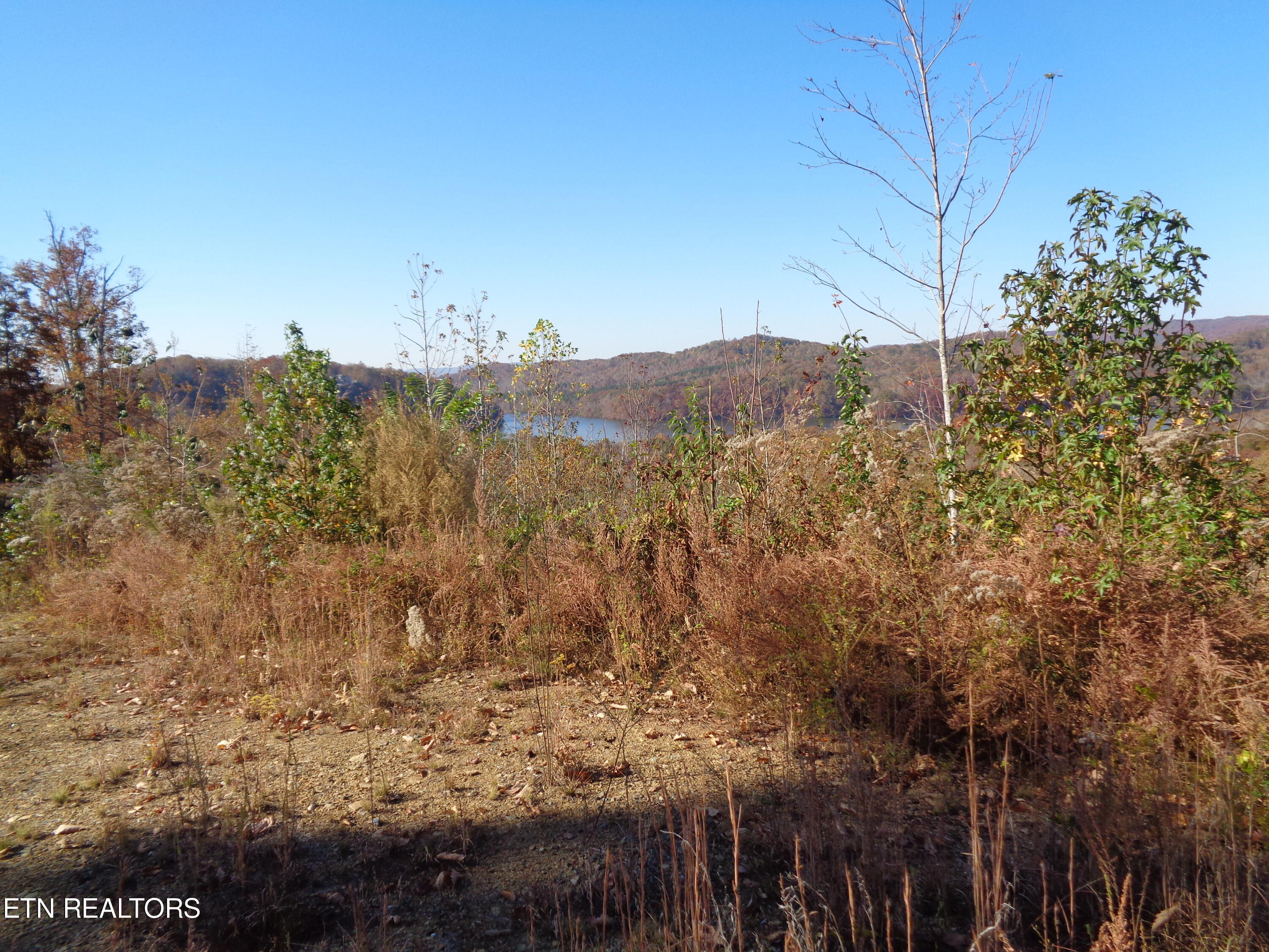 Twin Feathers Drive Rockwood TN 37854
