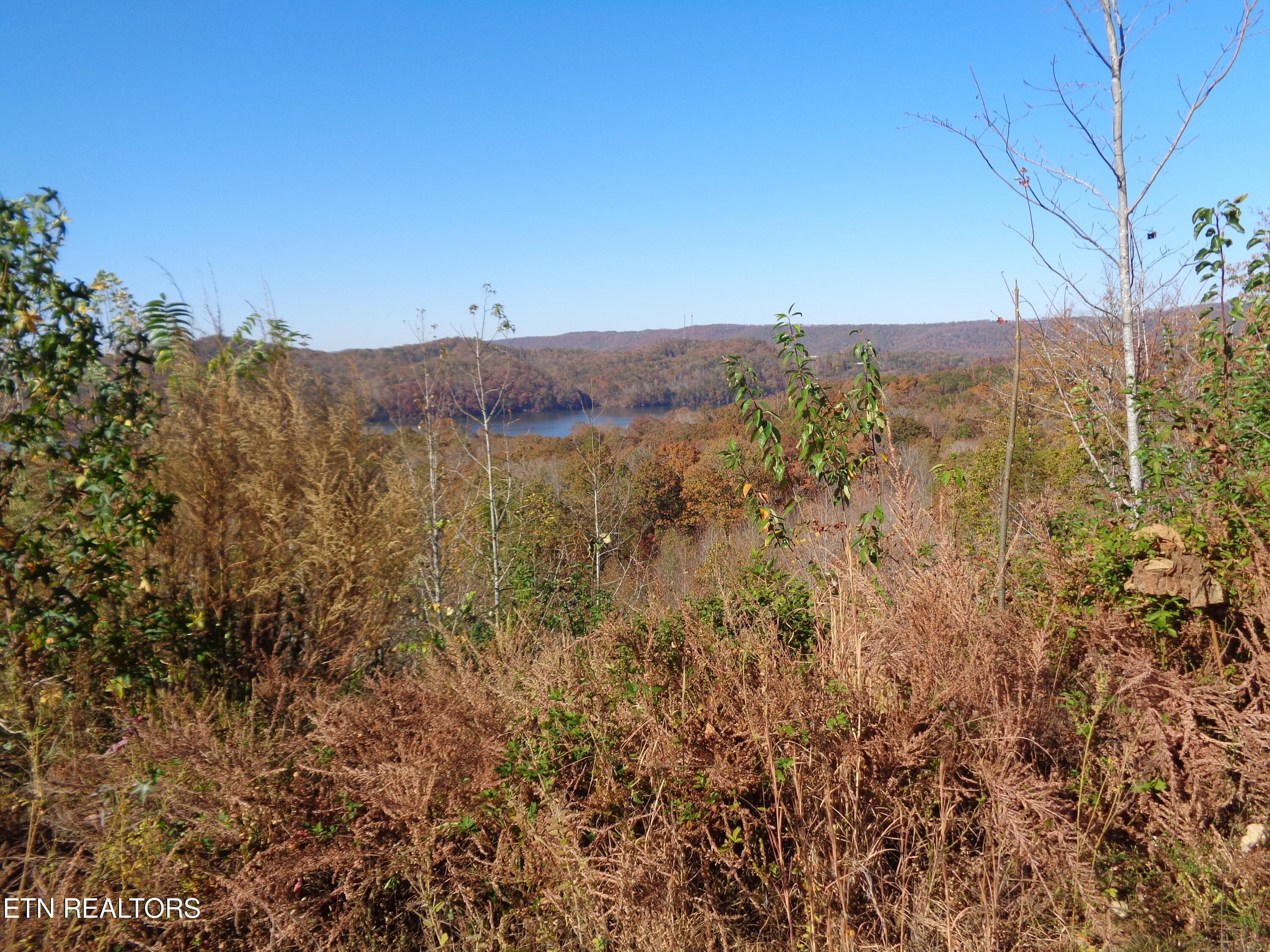 Twin Feathers Drive Rockwood TN 37854