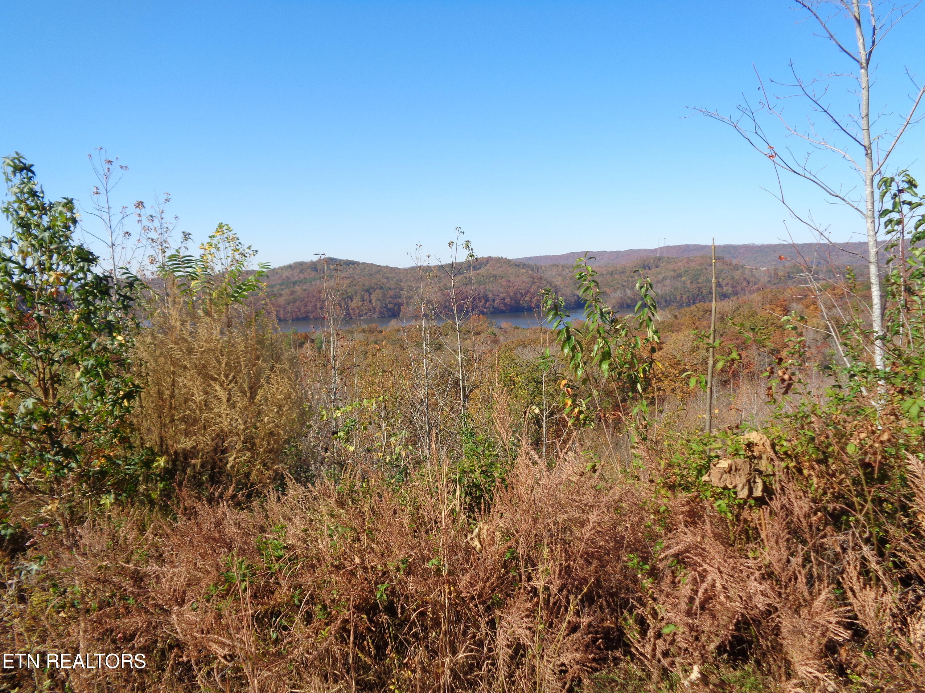 Twin Feathers Drive Rockwood TN 37854