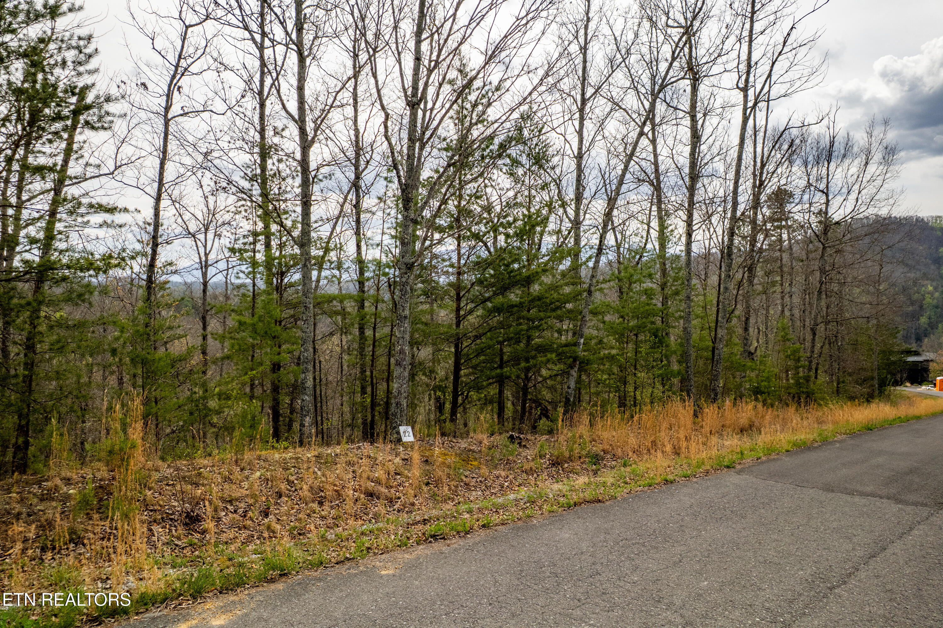 Mountain Ash Way Sevierville TN 37876