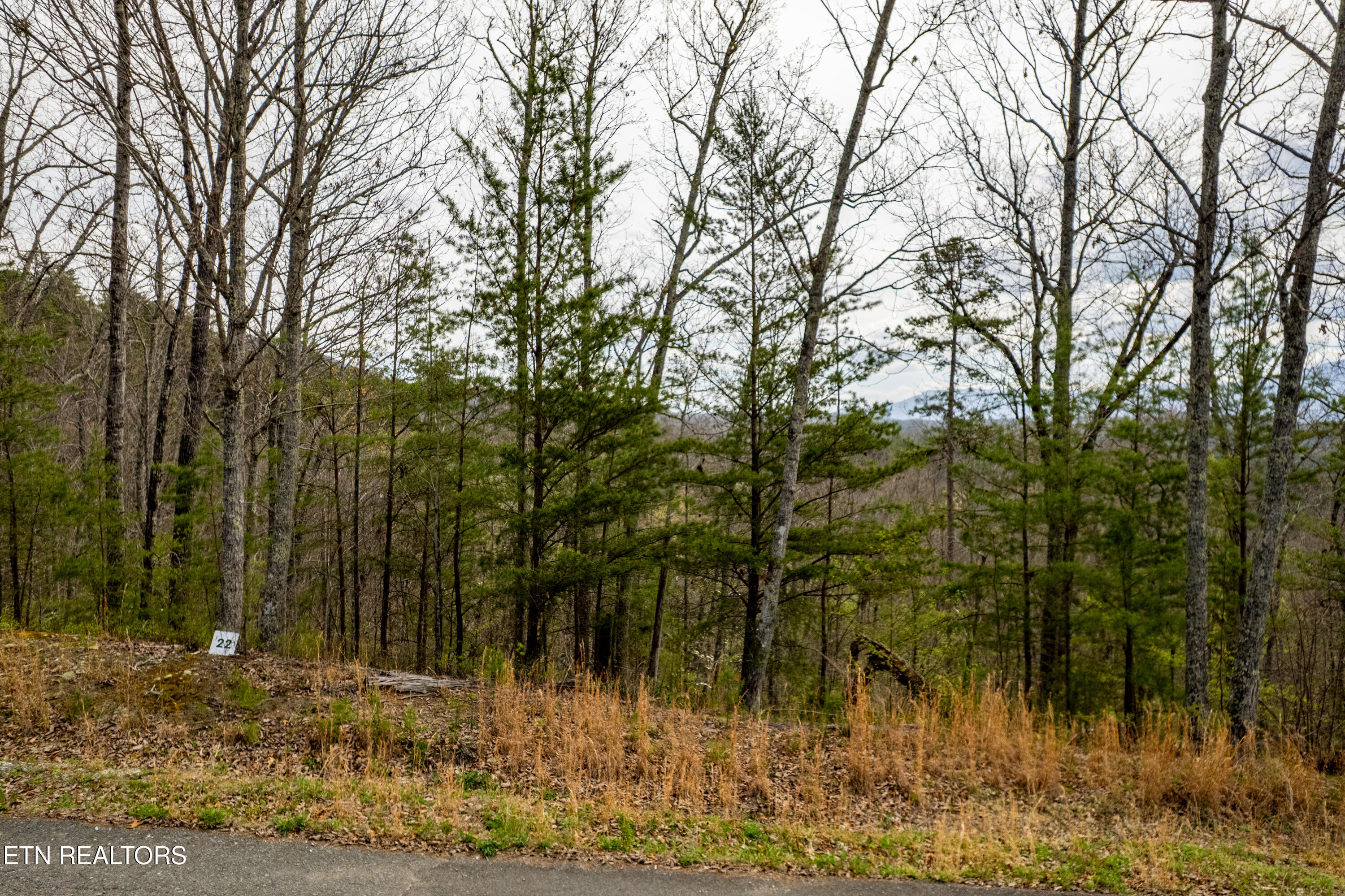 Mountain Ash Way Sevierville TN 37876