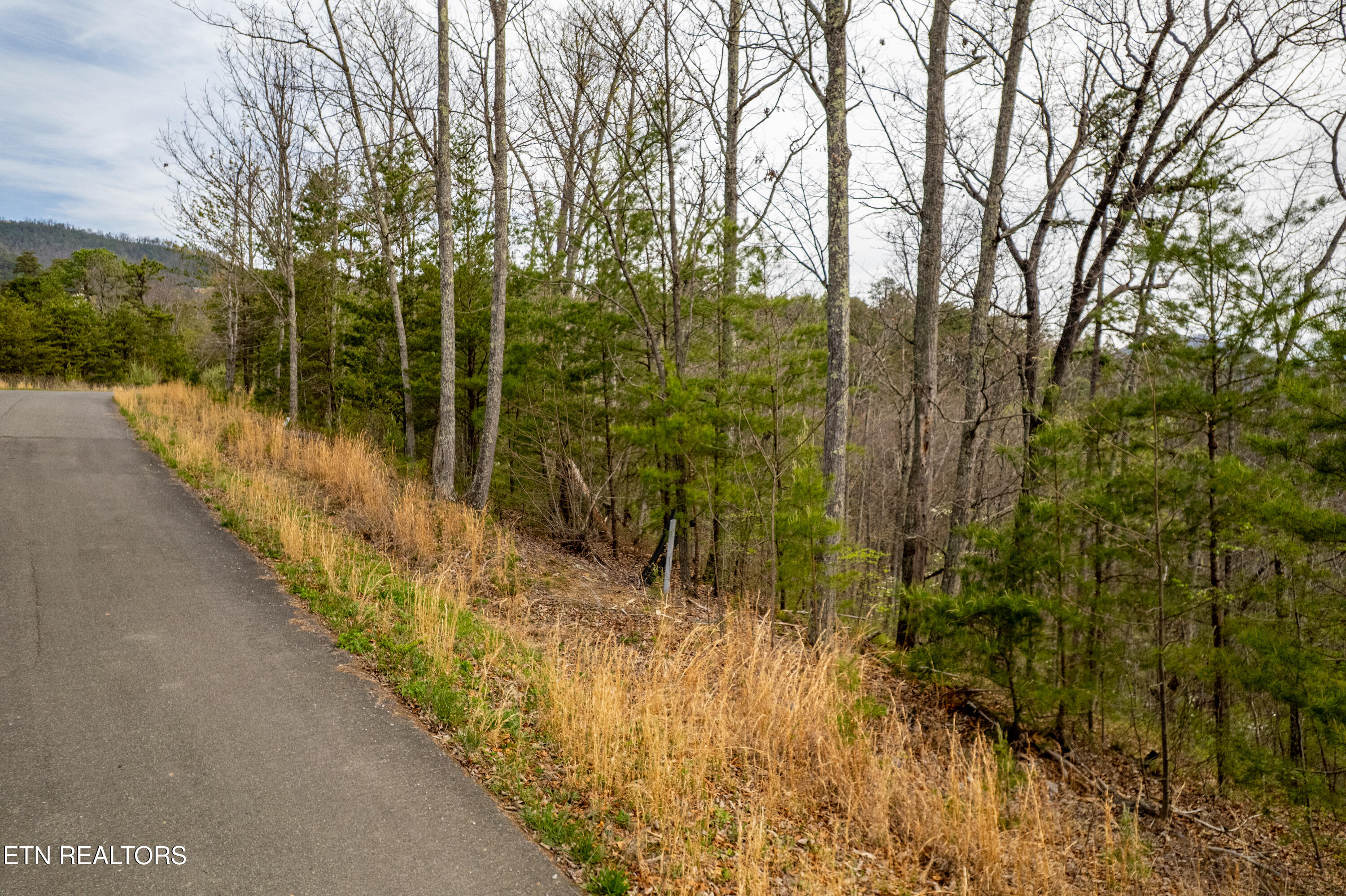Mountain Ash Way Sevierville TN 37876