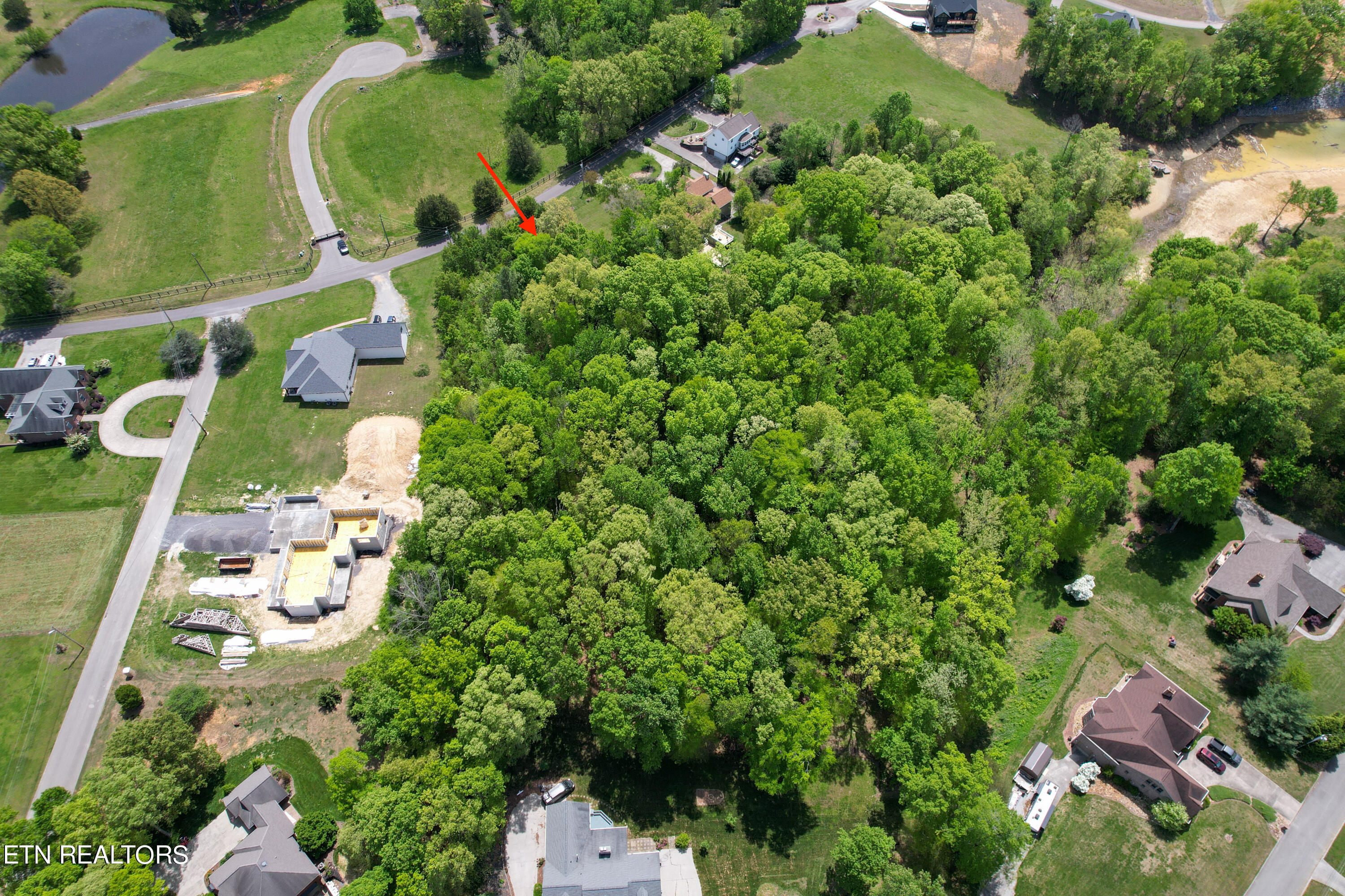 Lot 37 Mccorkle Road White Pine TN 37890