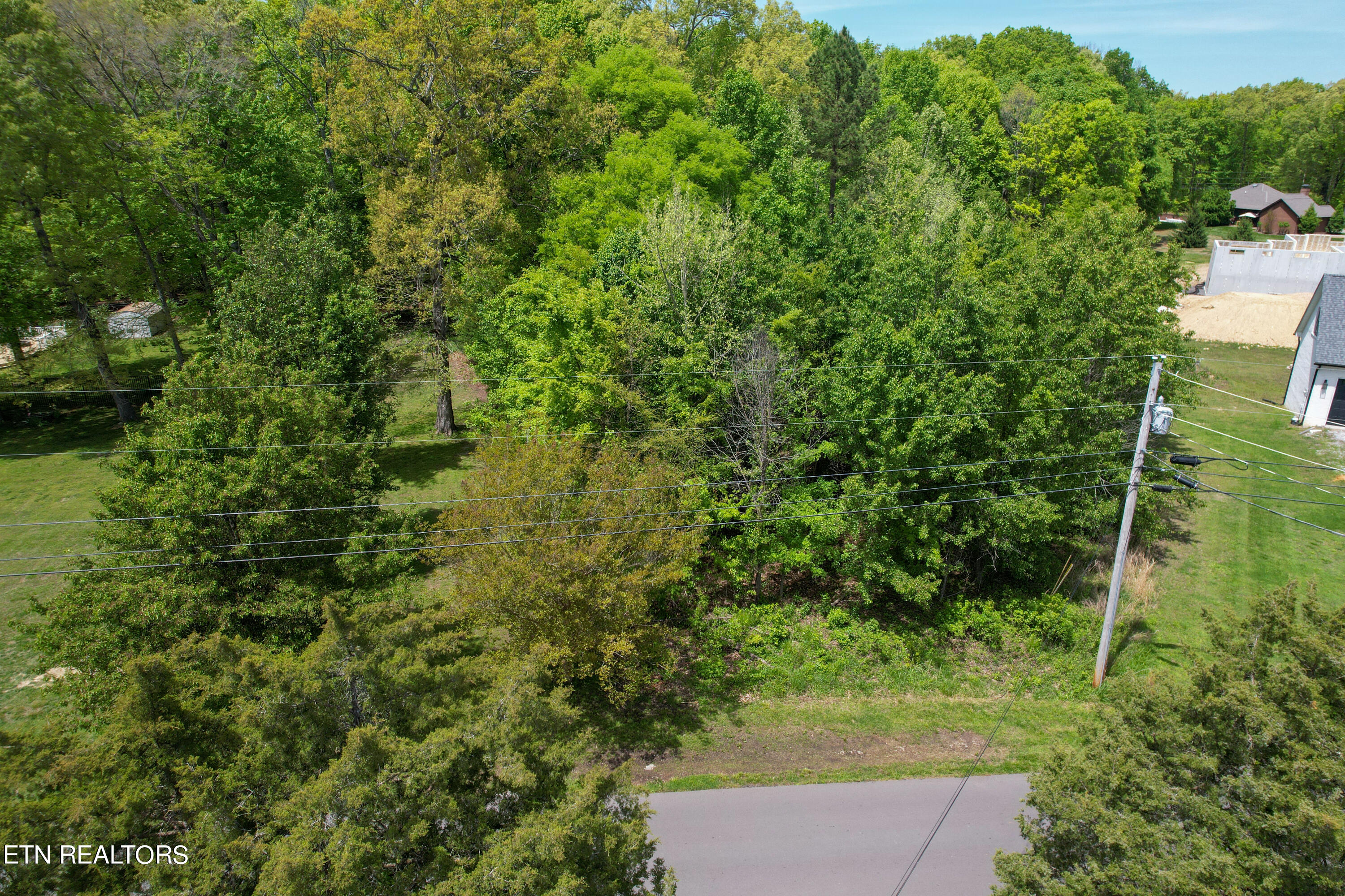 Lot 37 Mccorkle Road White Pine TN 37890