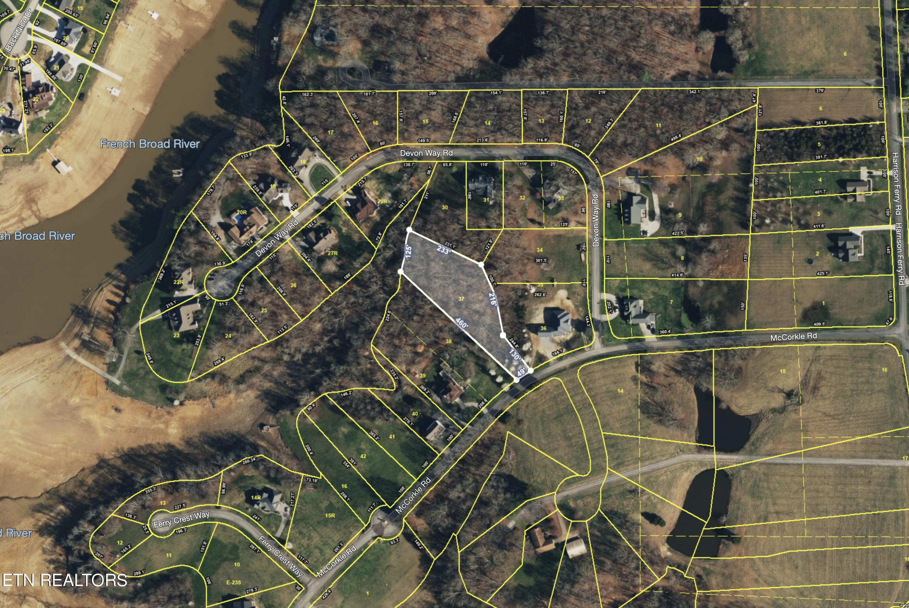 Lot 37 Mccorkle Road White Pine TN 37890