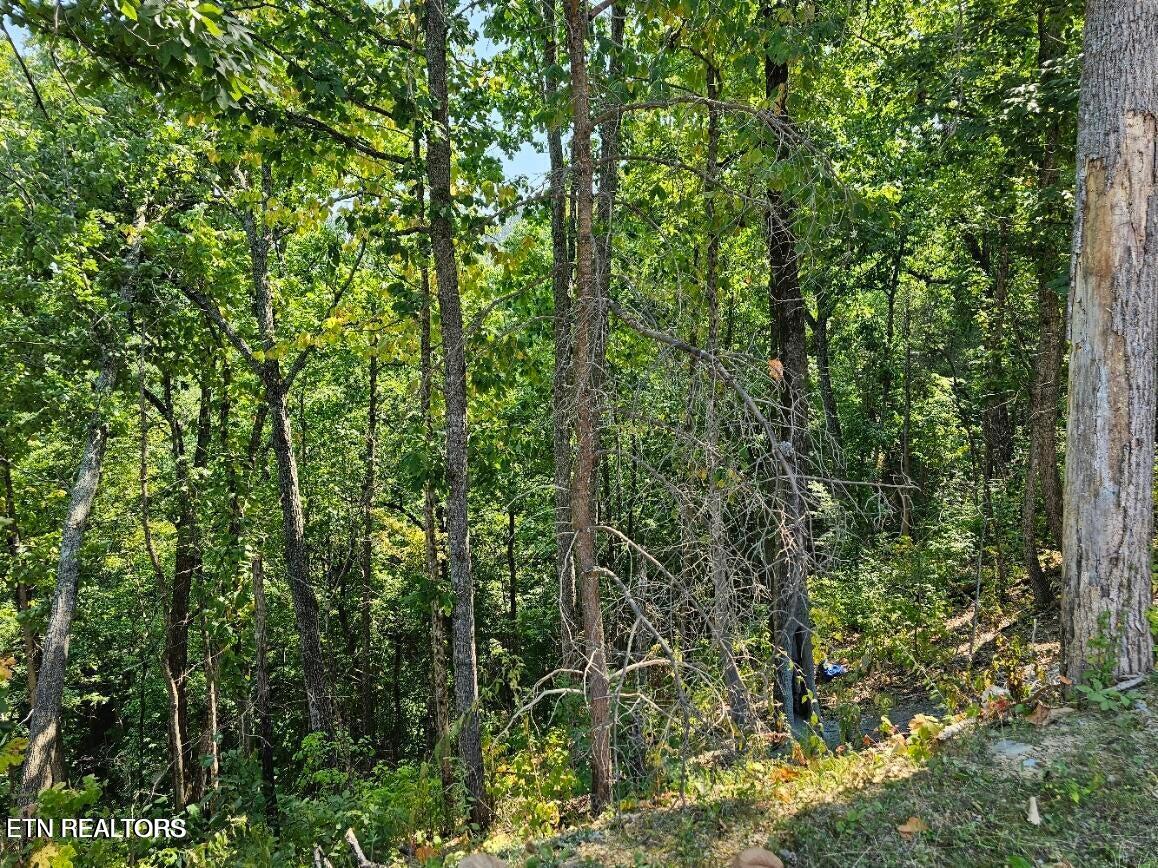 Lot 13-ar Villa Ridge Place Sevierville TN 37862