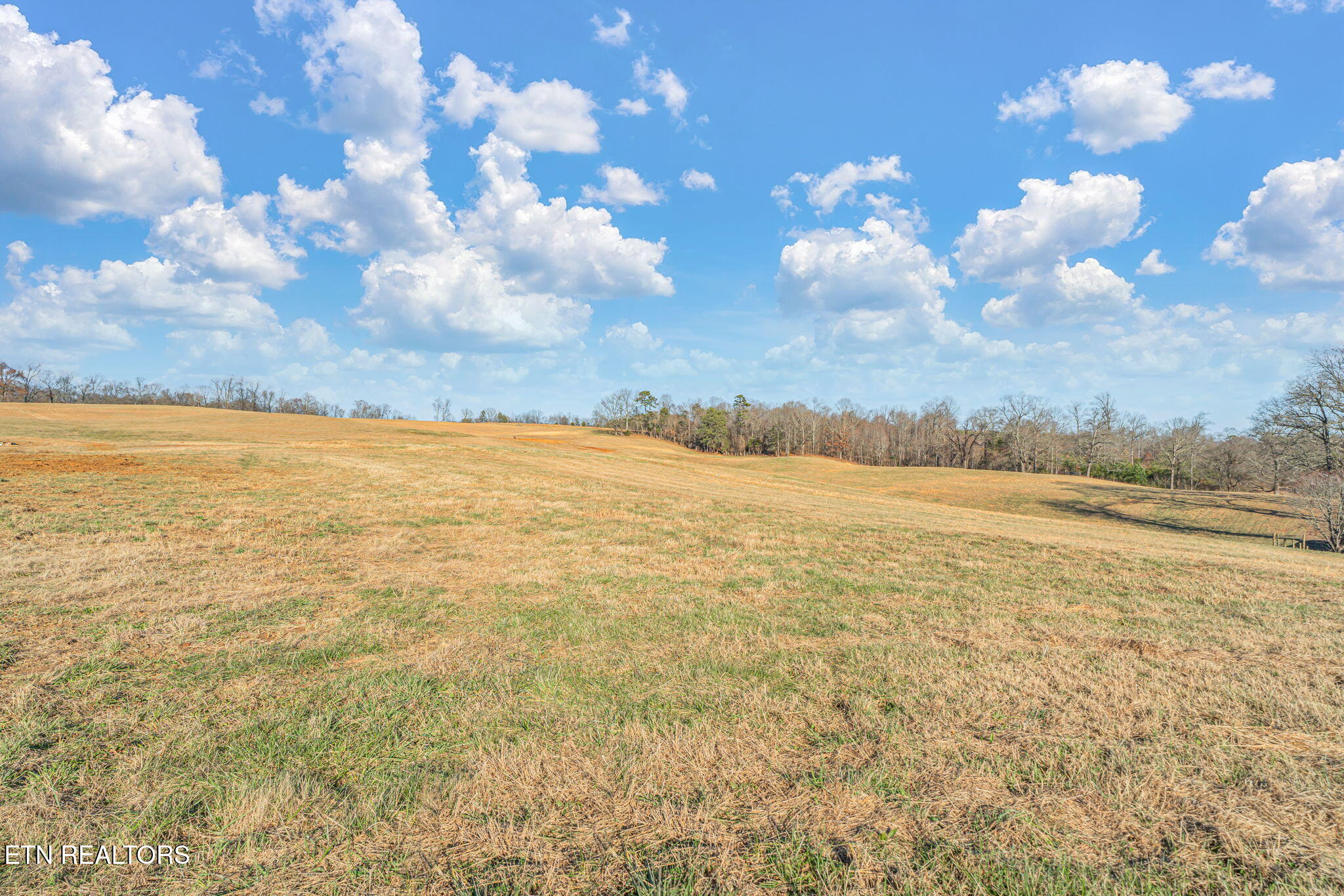 Thorngrove Pike Strawberry Plains TN 37871