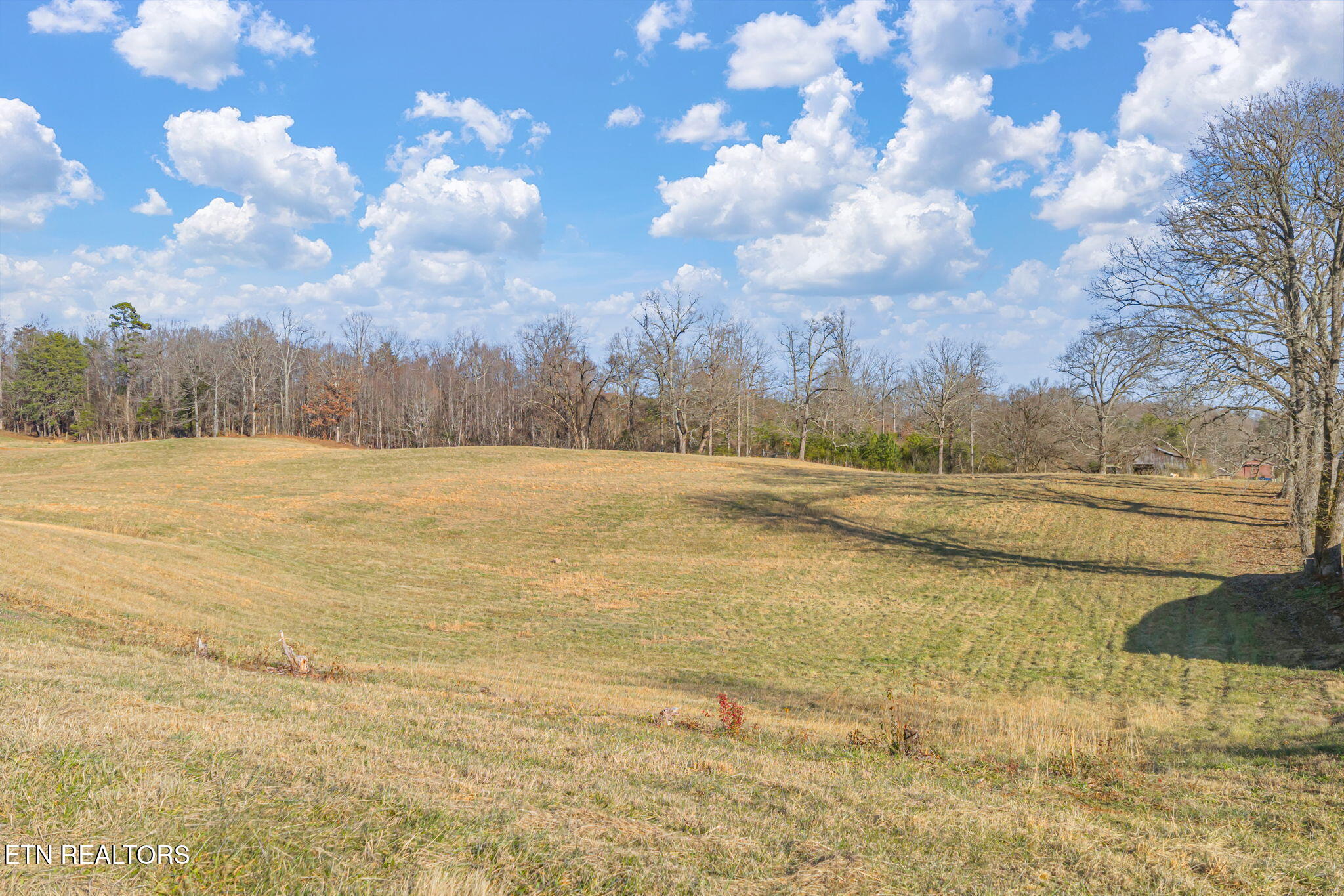 Thorngrove Pike Strawberry Plains TN 37871