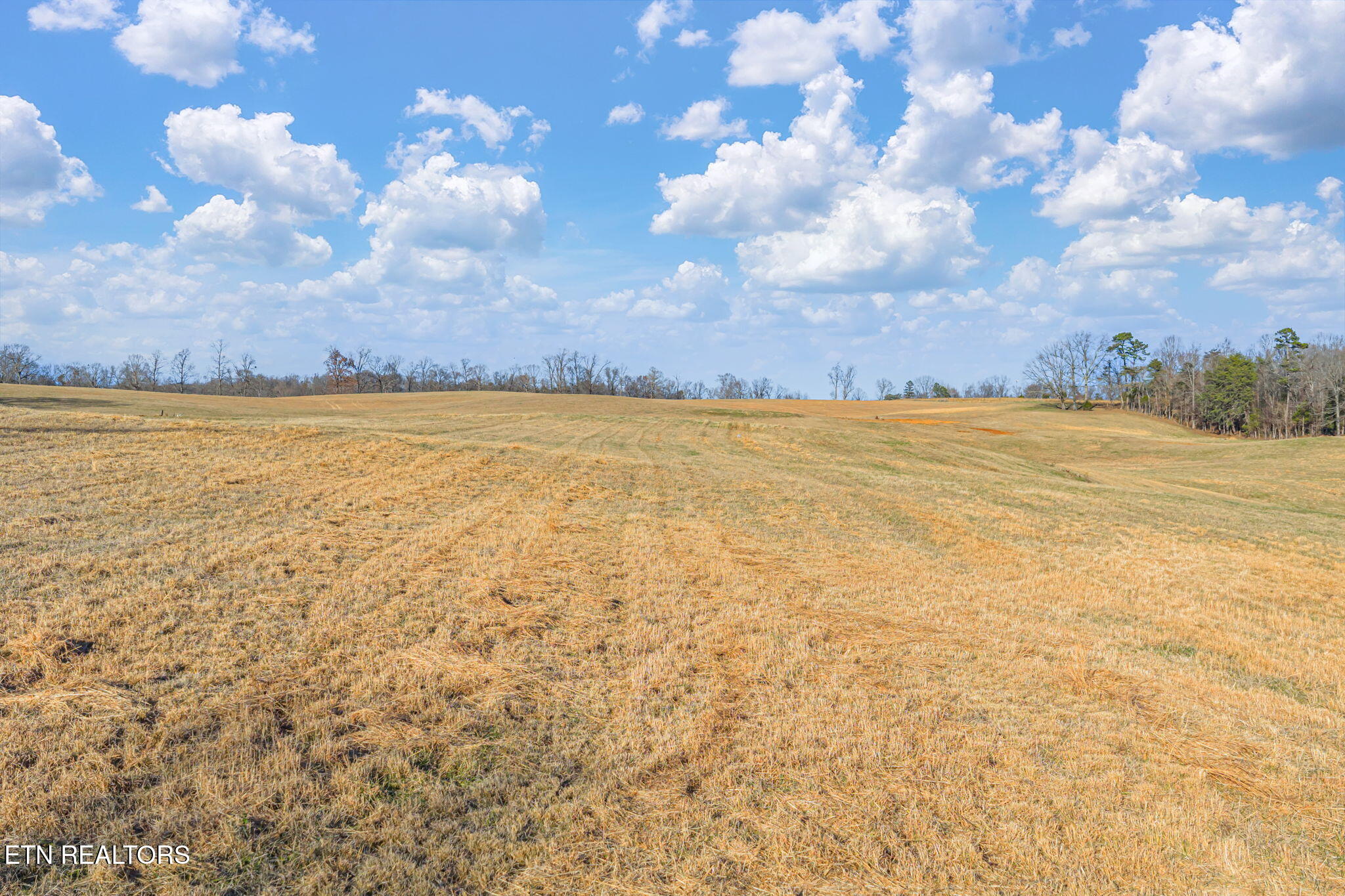 Thorngrove Pike Strawberry Plains TN 37871