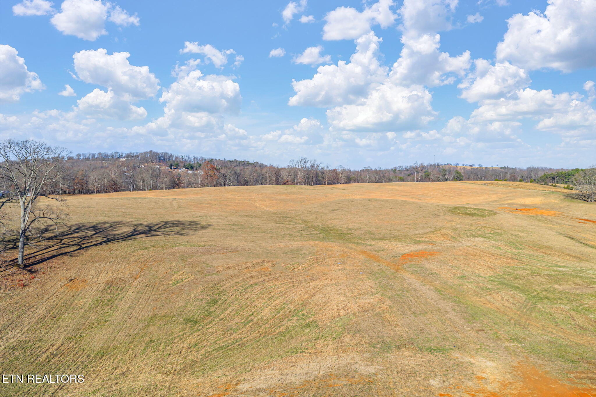 Thorngrove Pike Strawberry Plains TN 37871