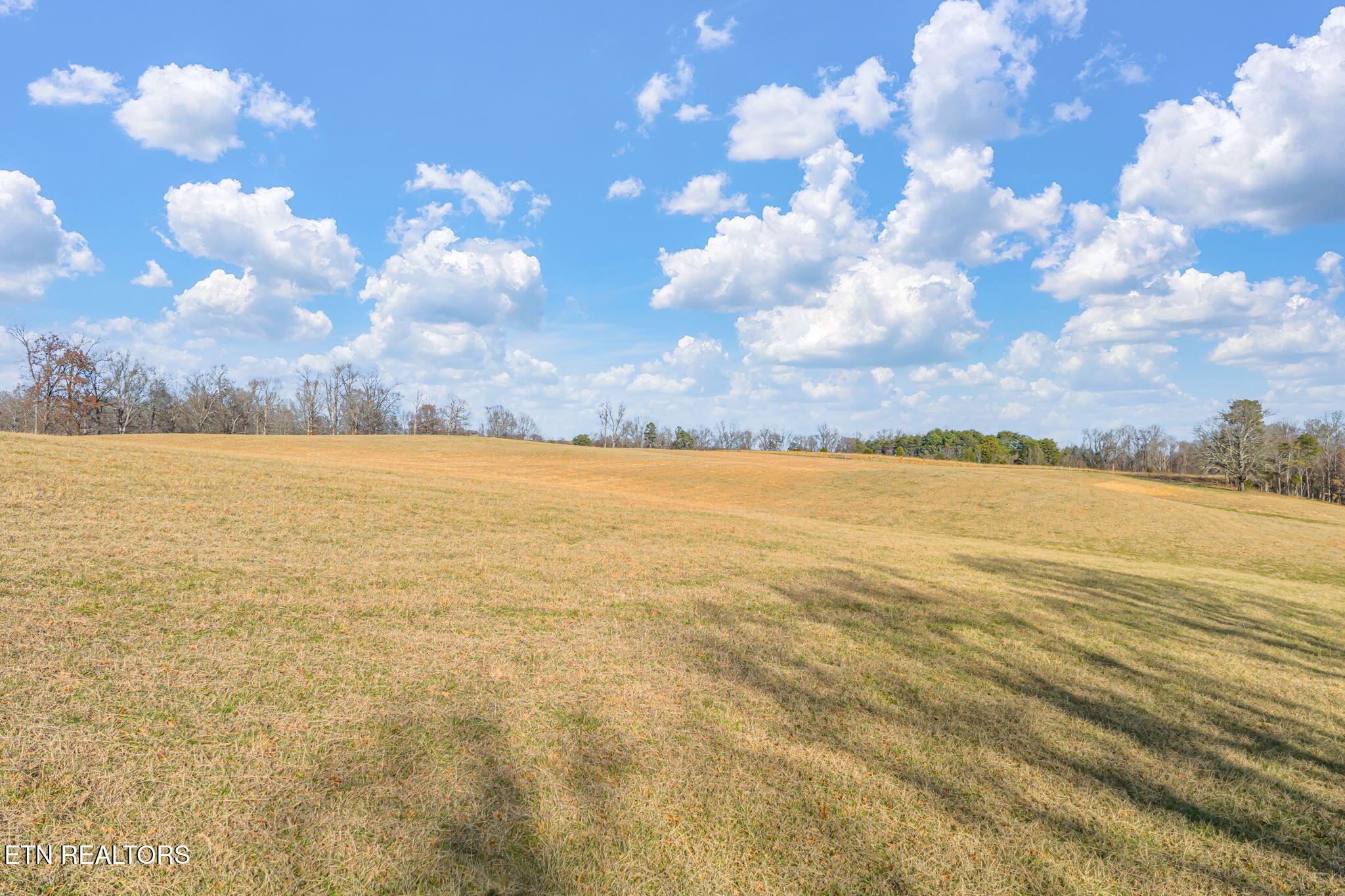 Thorngrove Pike Strawberry Plains TN 37871