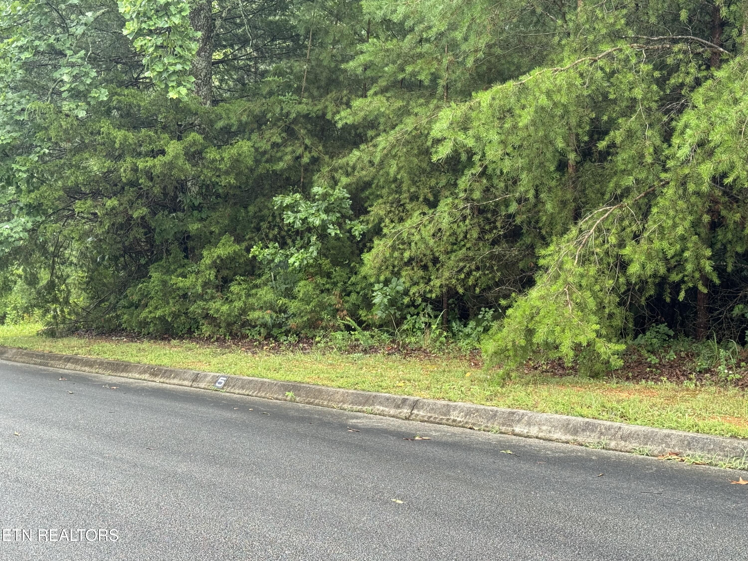 0 Evergreen Cove Lot 5 Street Kingston TN 37763
