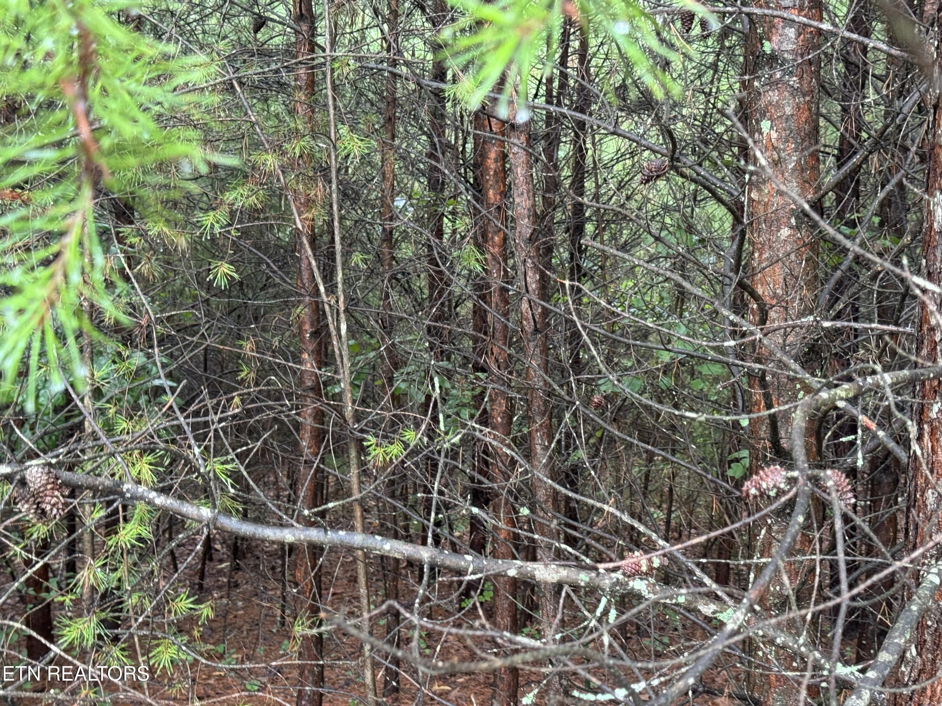 0 Evergreen Cove Lot 5 Street Kingston TN 37763
