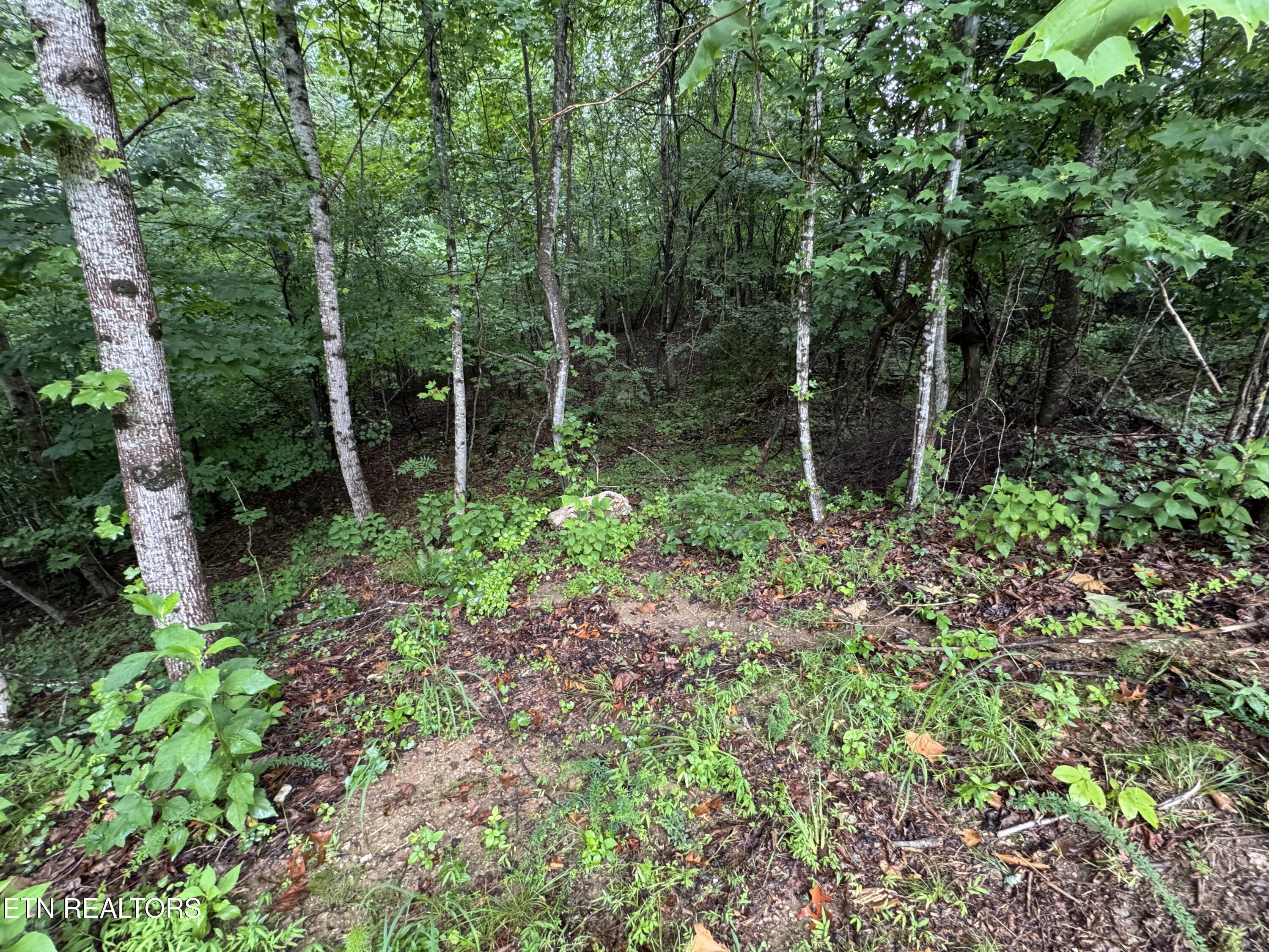 0 Evergreen Cove Lot 5 Street Kingston TN 37763