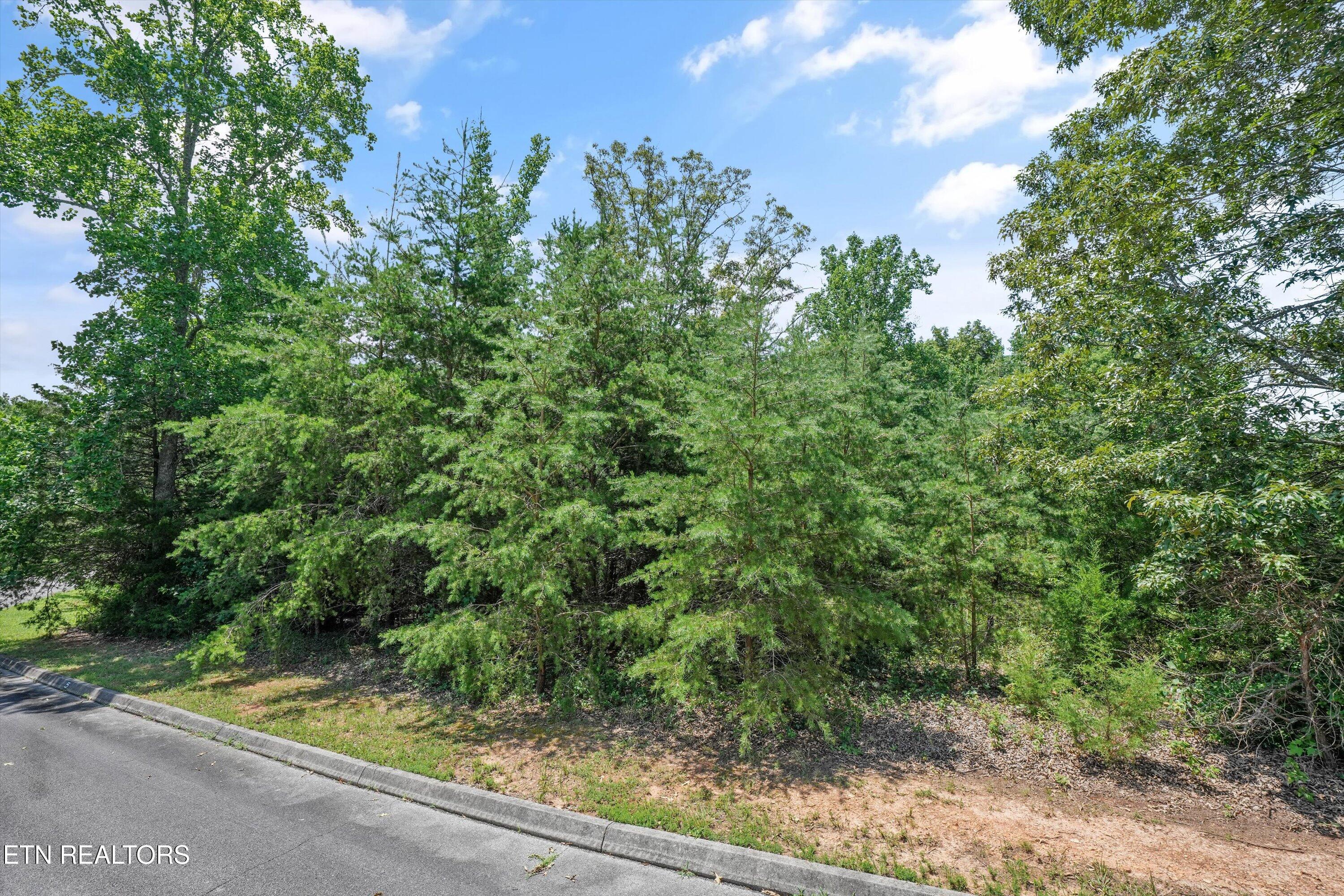 0 Evergreen Cove Lot 5 Street Kingston TN 37763