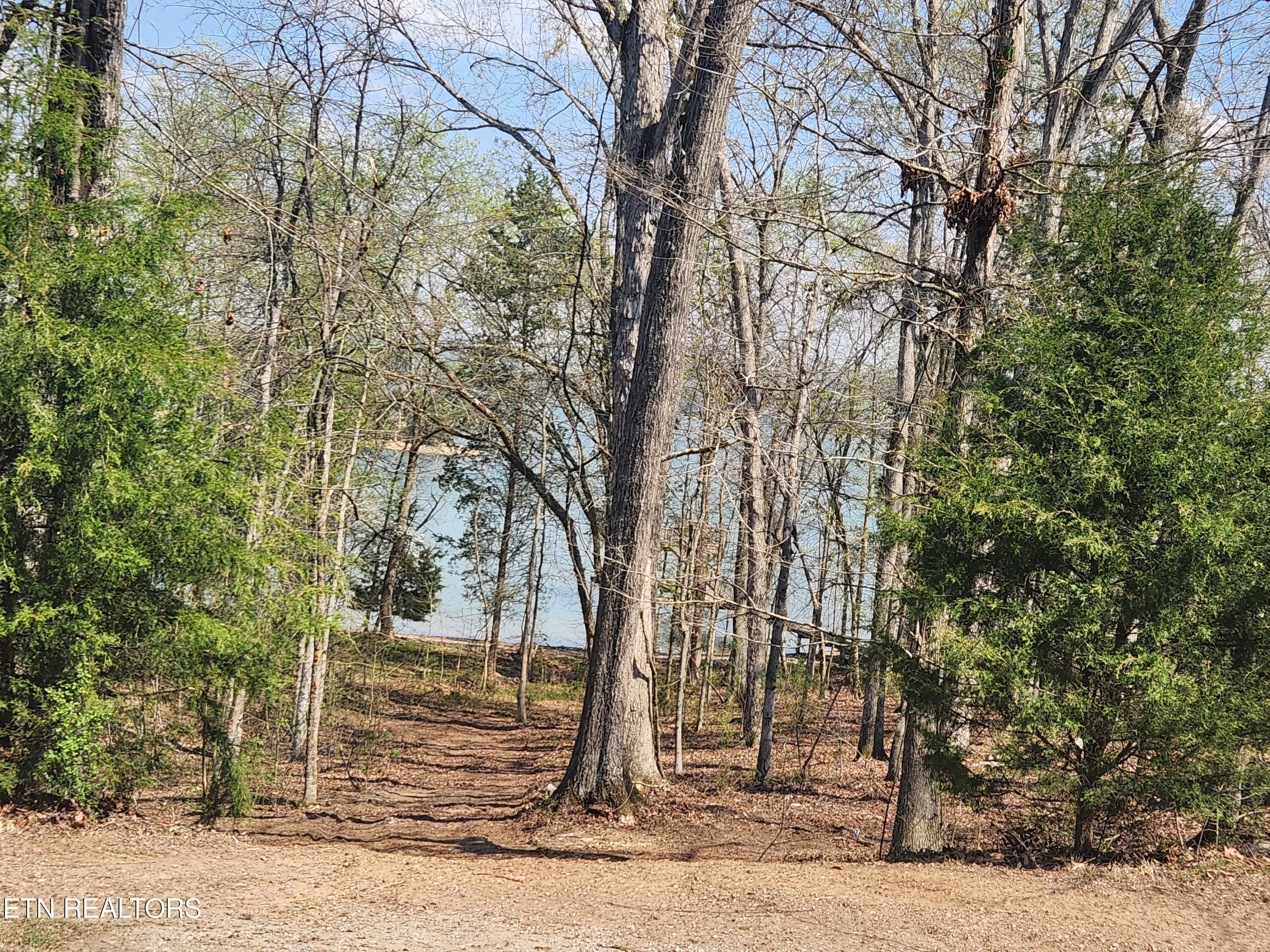 Lot 39 E Shore Drive Rockwood TN 37854