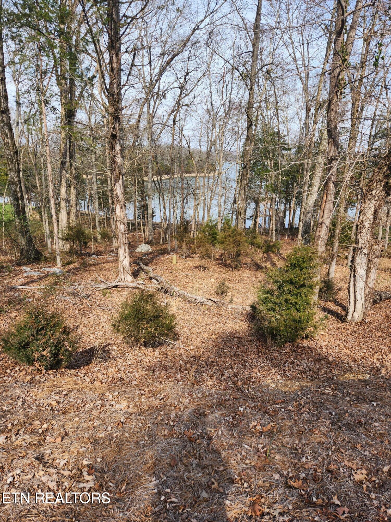 Lot 39 E Shore Drive Rockwood TN 37854
