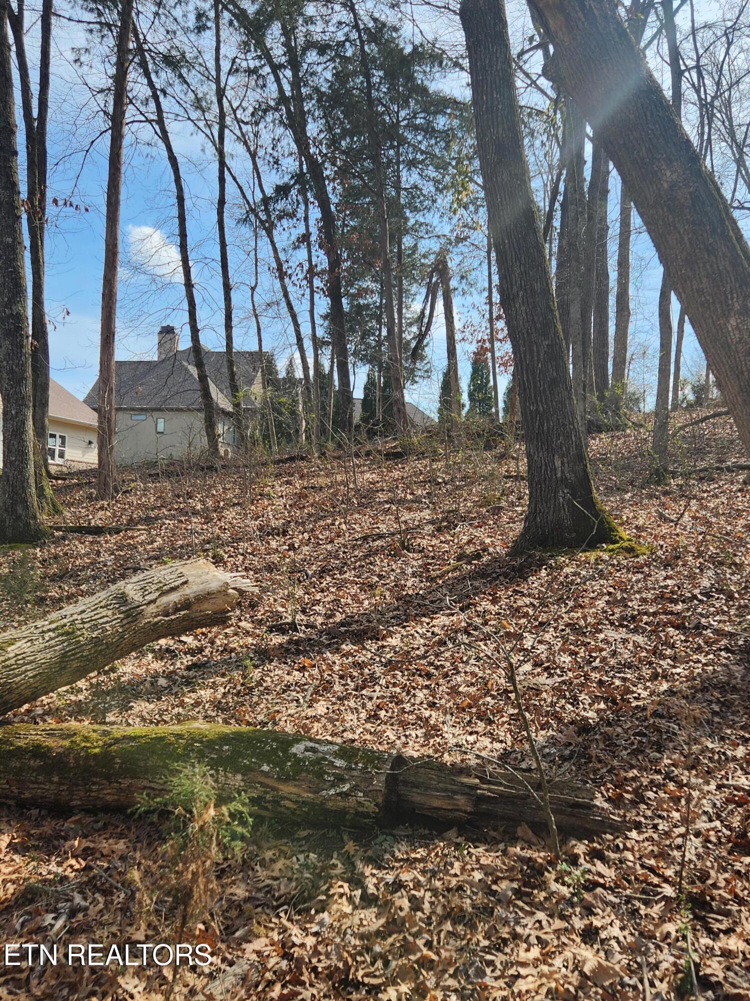 Lot 39 E Shore Drive Rockwood TN 37854