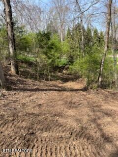 Lot 39 E Shore Drive Rockwood TN 37854