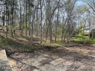 Lot 39 E Shore Drive Rockwood TN 37854