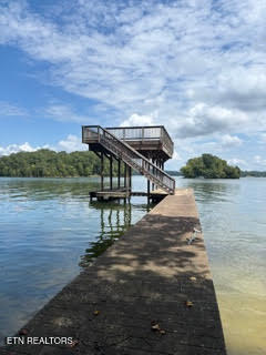 Lot 39 E Shore Drive Rockwood TN 37854