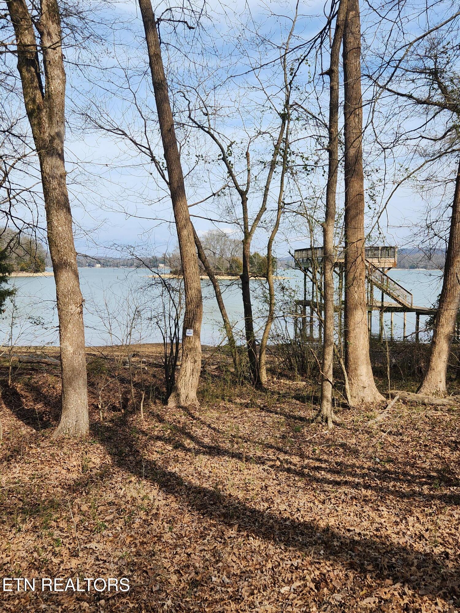 Lot 39 E Shore Drive Rockwood TN 37854