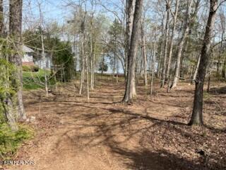 Lot 39 E Shore Drive Rockwood TN 37854