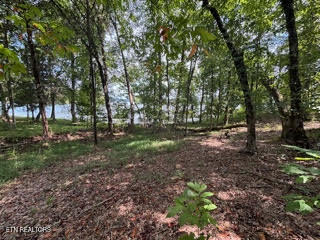 Lot 39 E Shore Drive Rockwood TN 37854