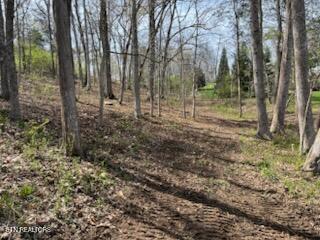 Lot 39 E Shore Drive Rockwood TN 37854