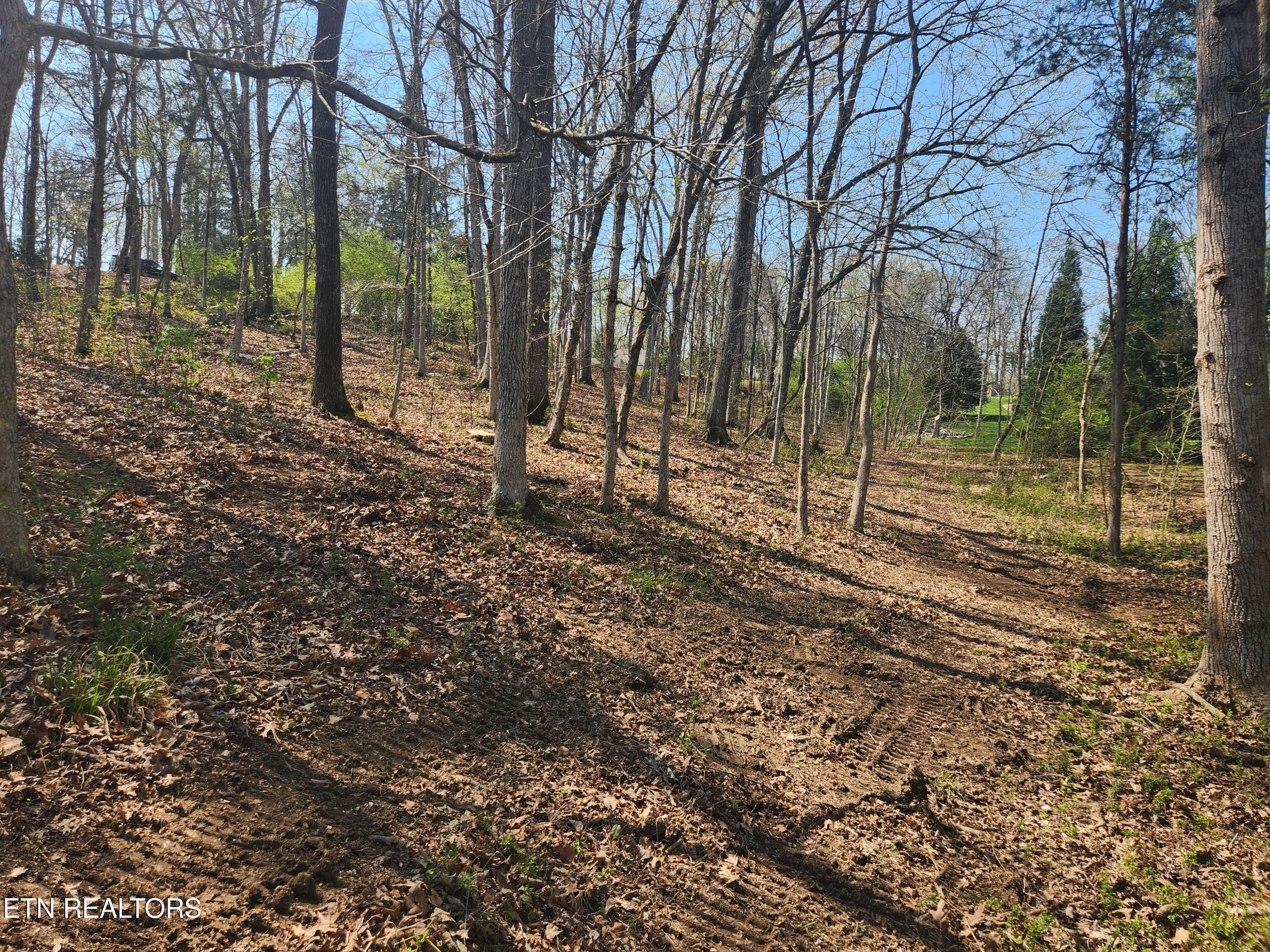 Lot 39 E Shore Drive Rockwood TN 37854